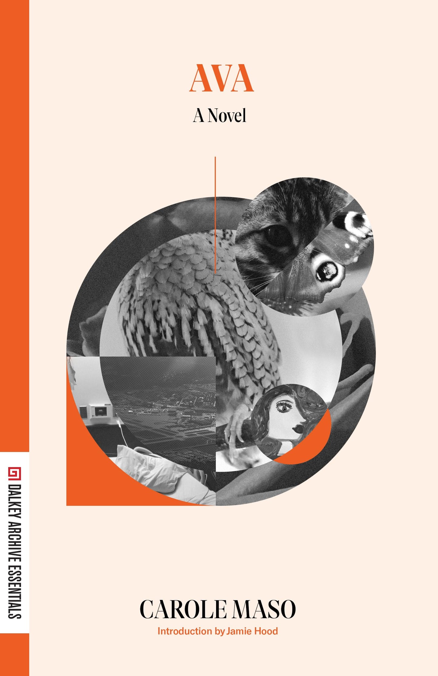 Ava book cover