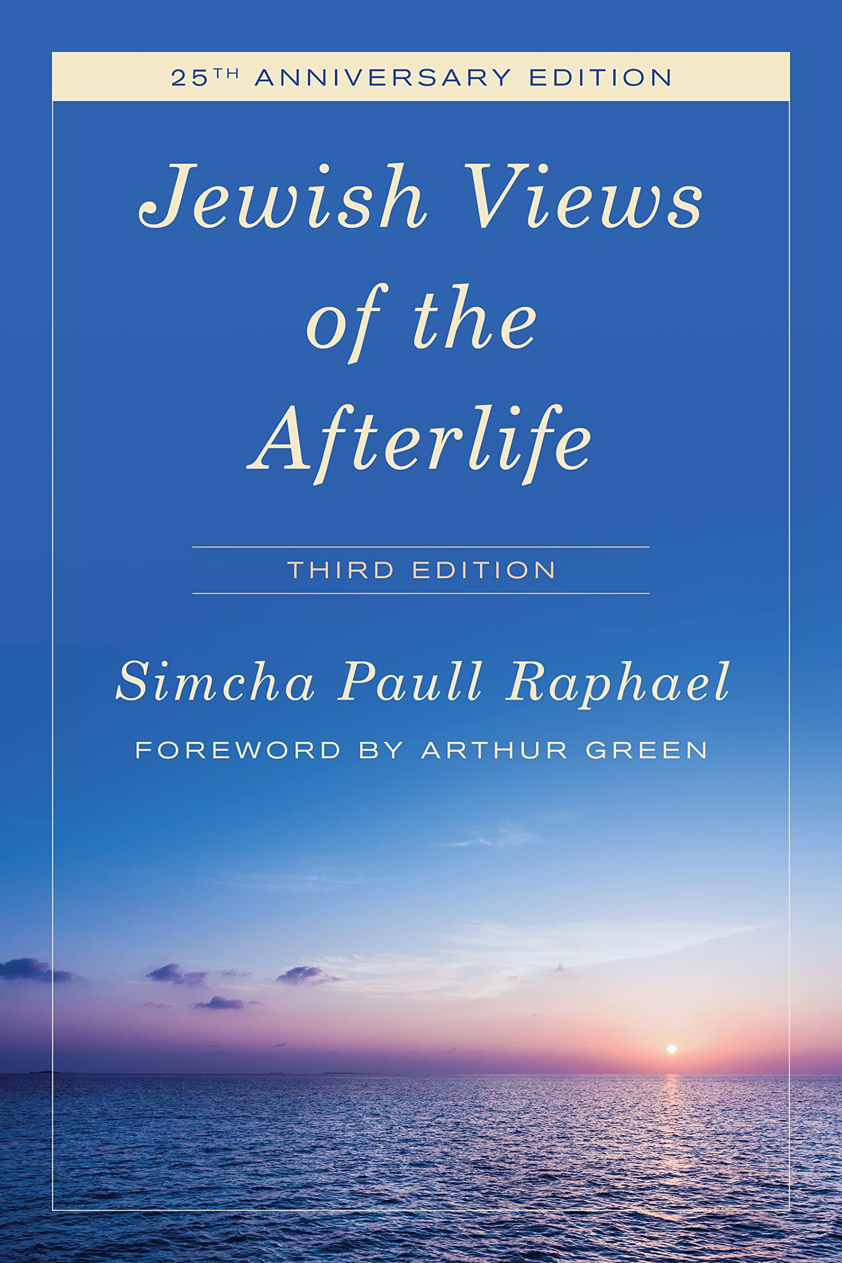 Jewish Views of the Afterlife book cover