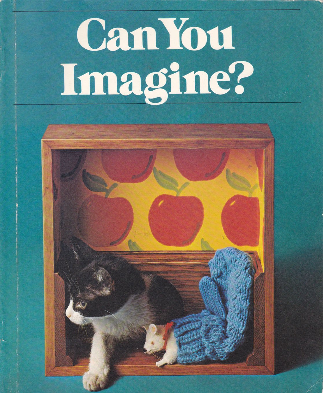 Can You Imagine?