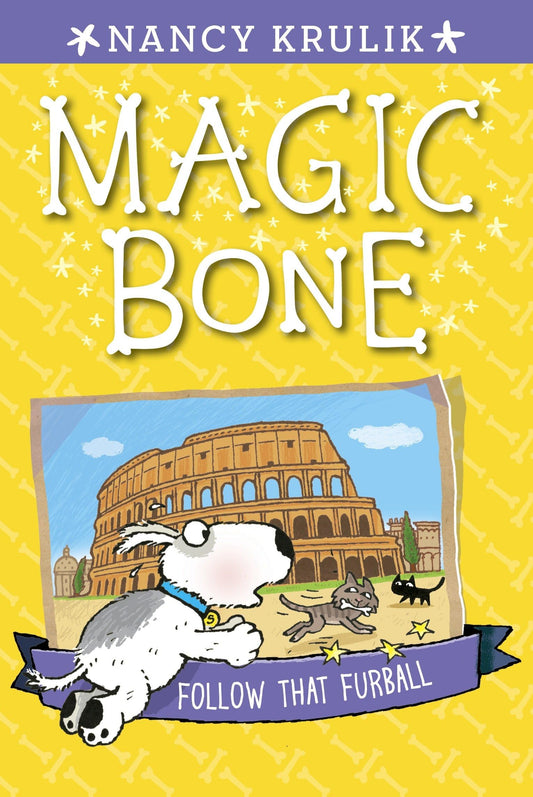Follow That Furball #3 (Magic Bone) book cover