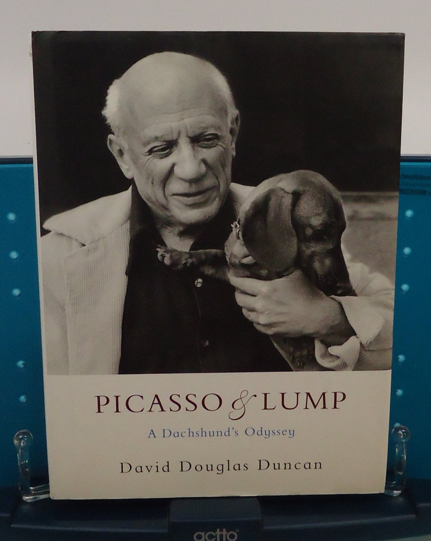 Picasso & Lump: A Dachshund's Odyssey book cover
