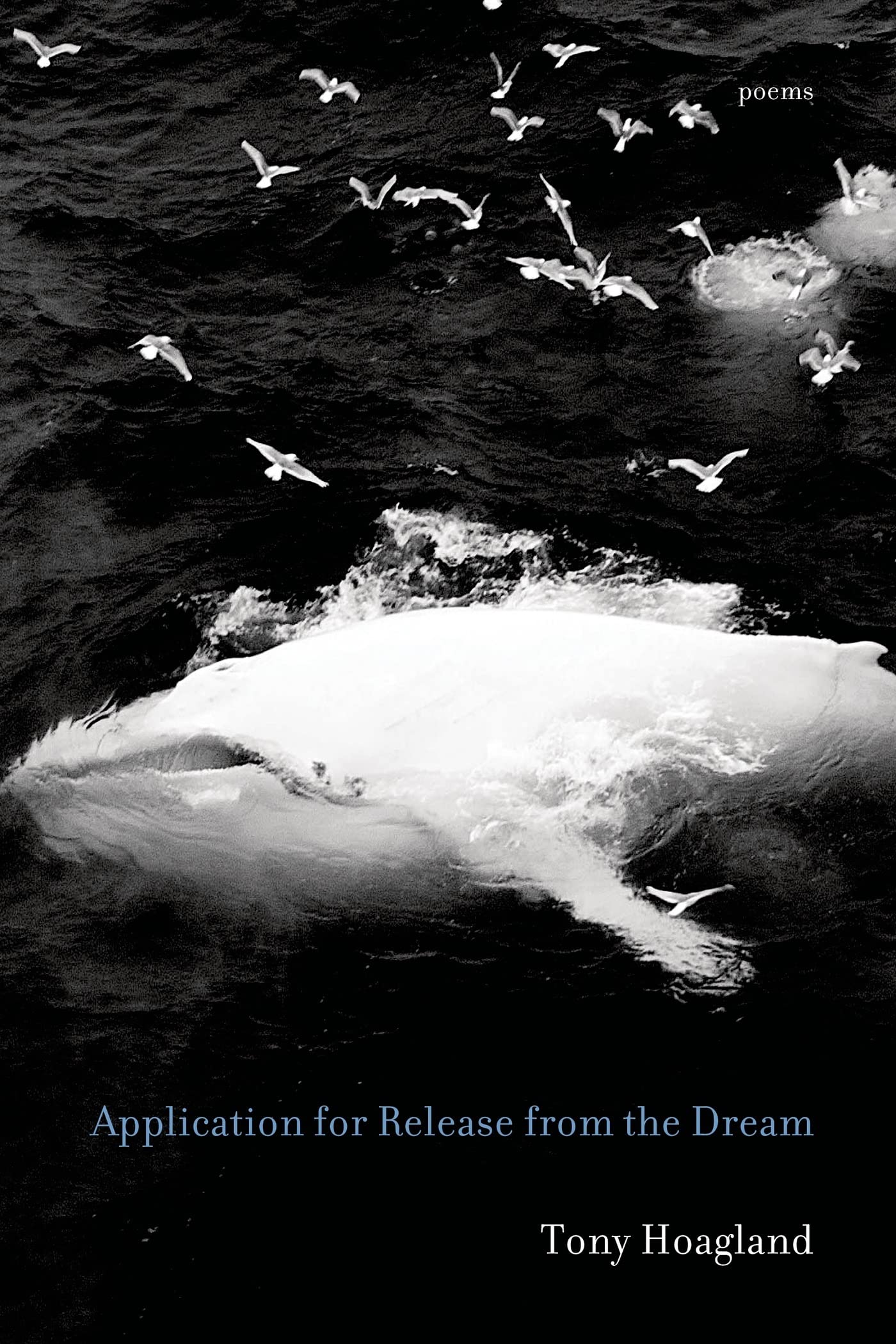 Application for Release from the Dream: Poems book cover