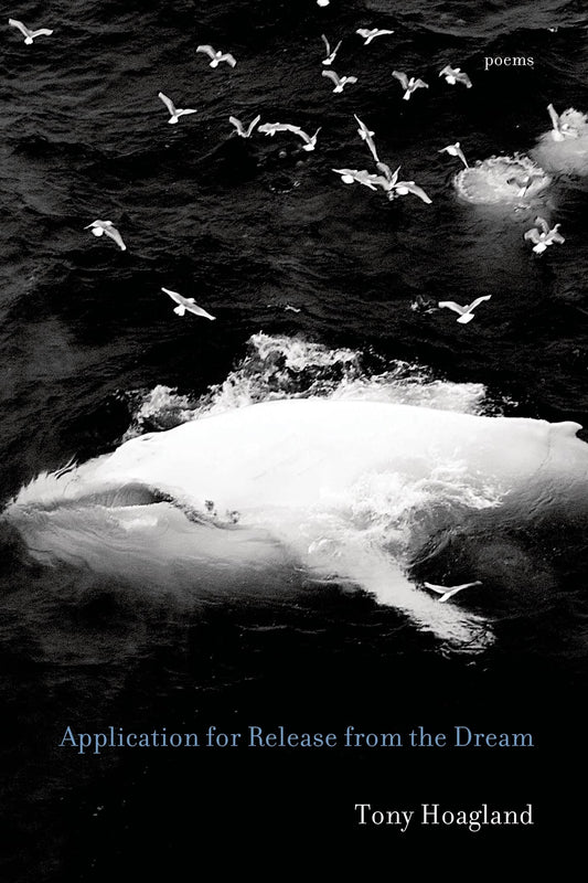 Application for Release from the Dream: Poems book cover
