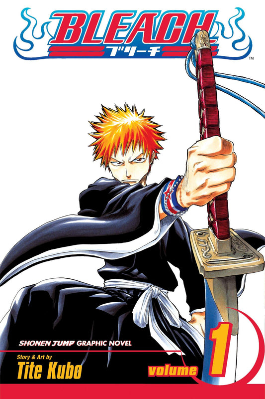 Bleach Volume 1 book cover