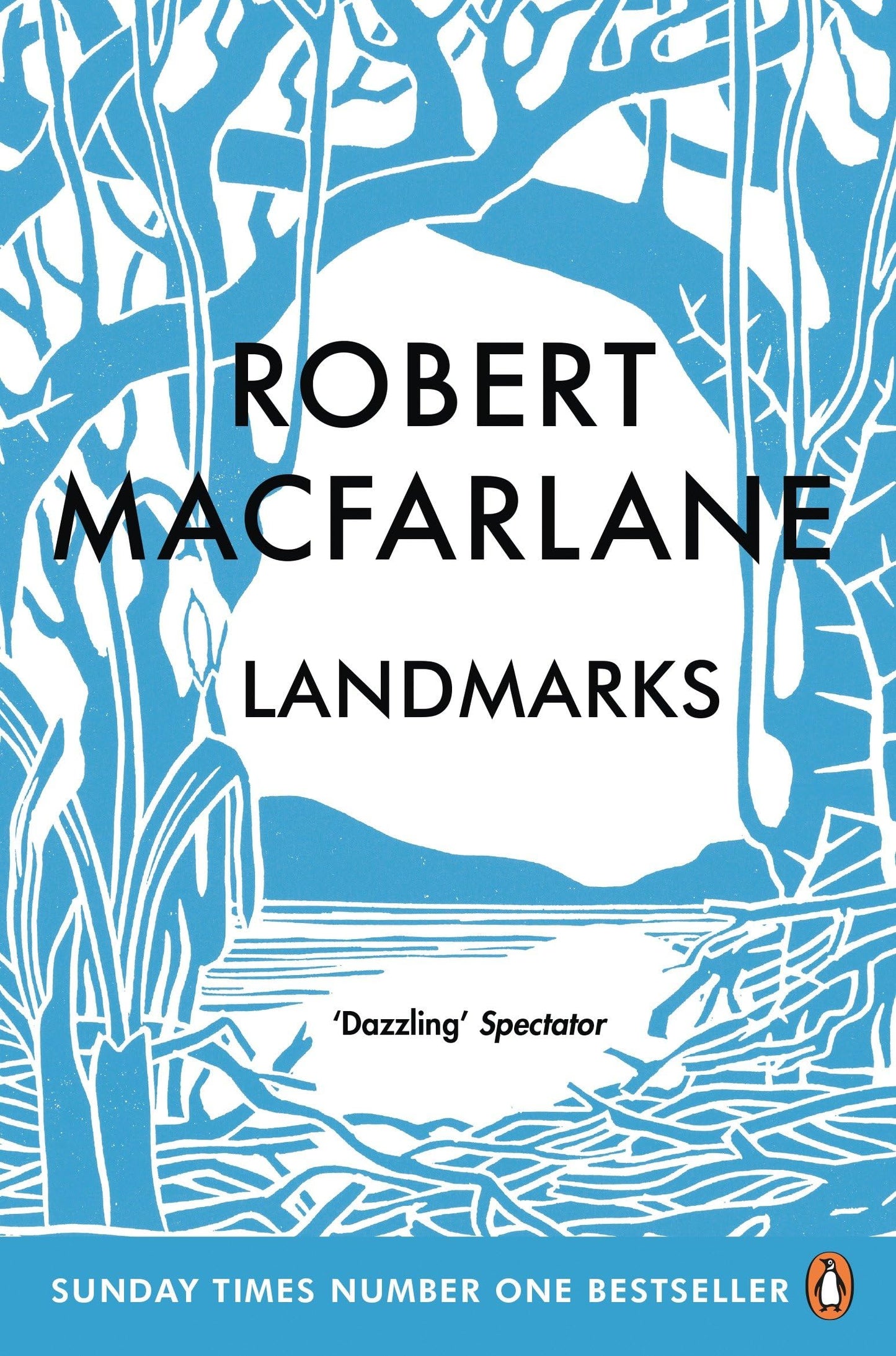 Landmarks book cover