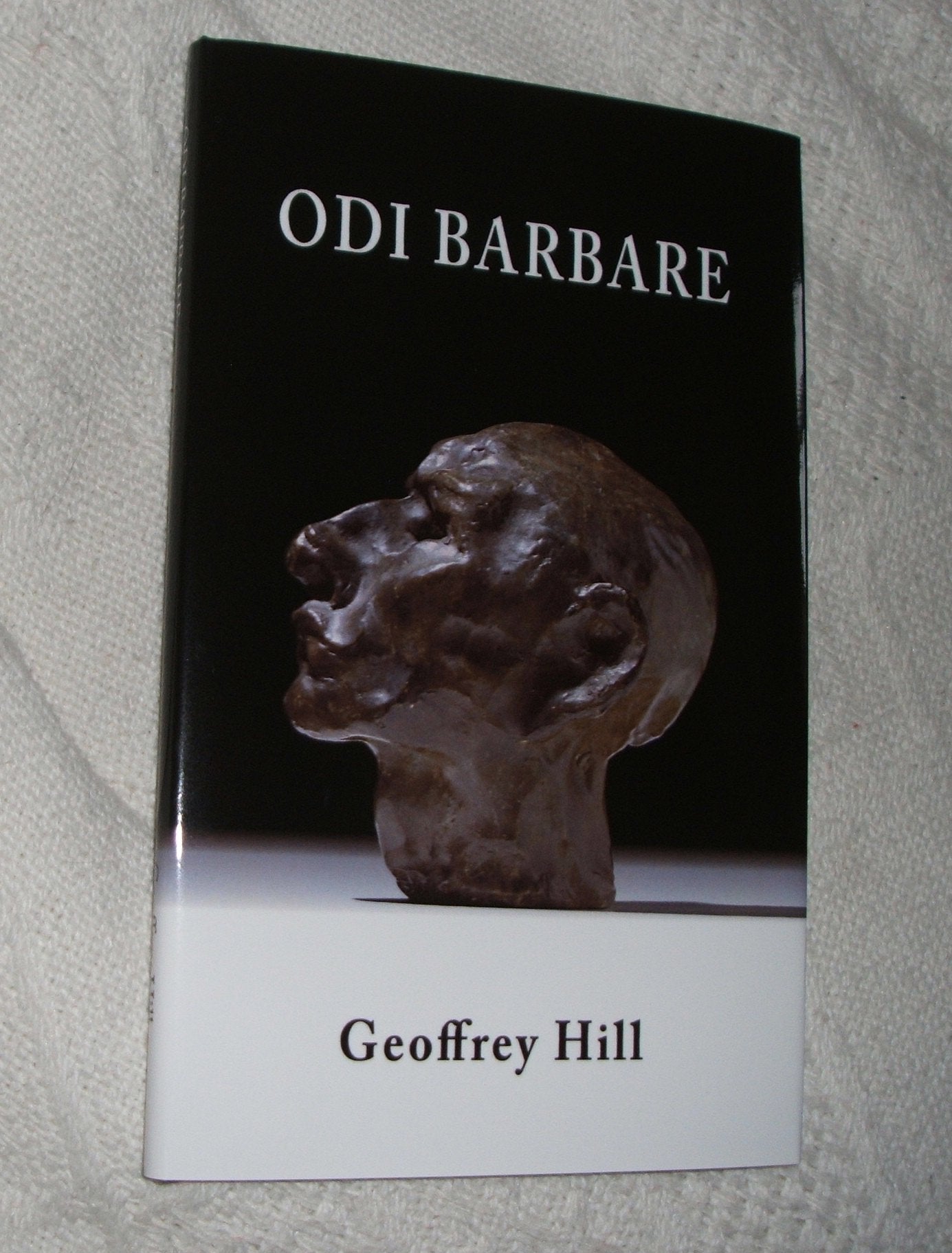 Odi Barbare [Daybooks II] (Daybooks) book cover