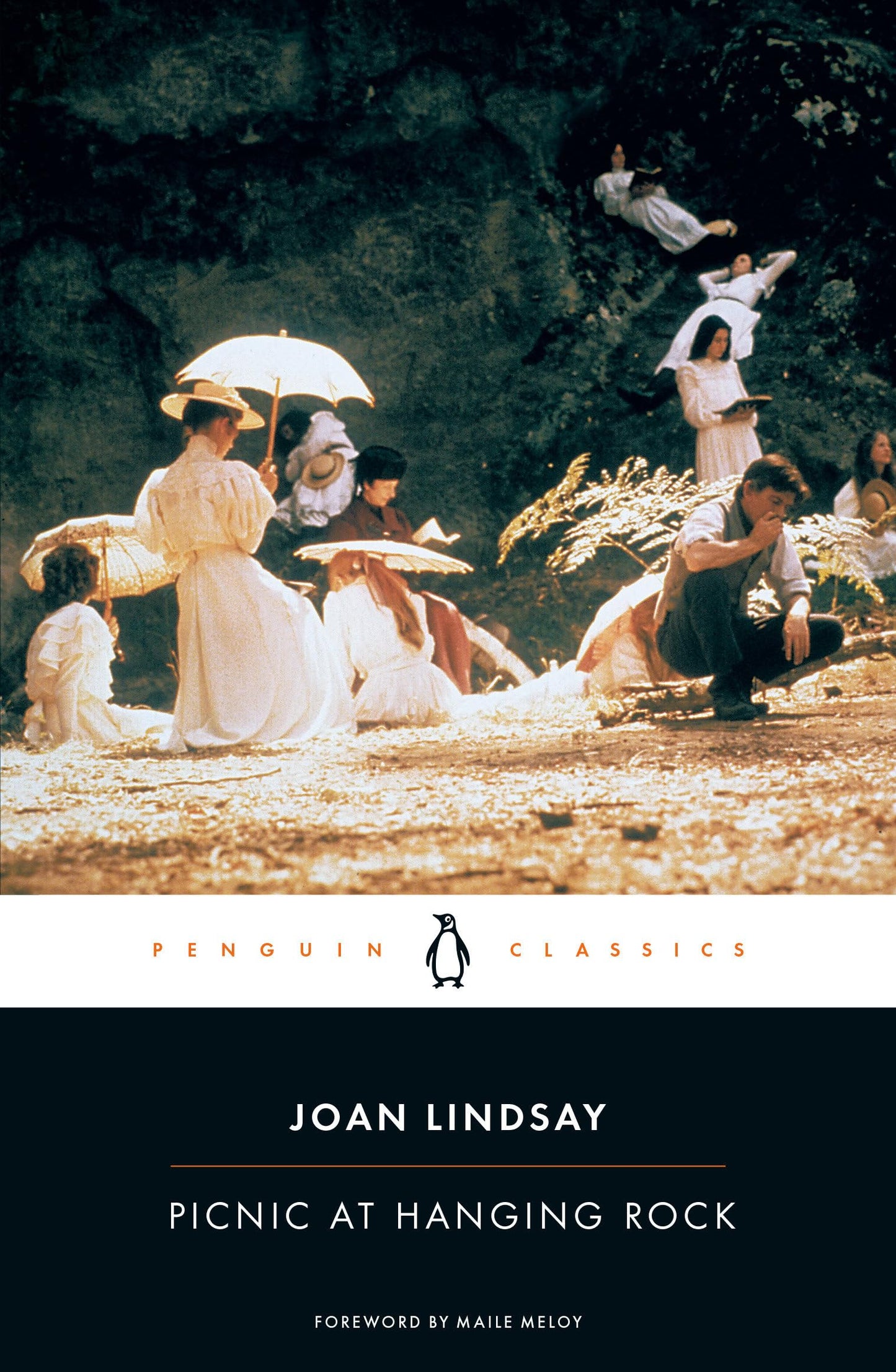 Picnic at Hanging Rock book cover