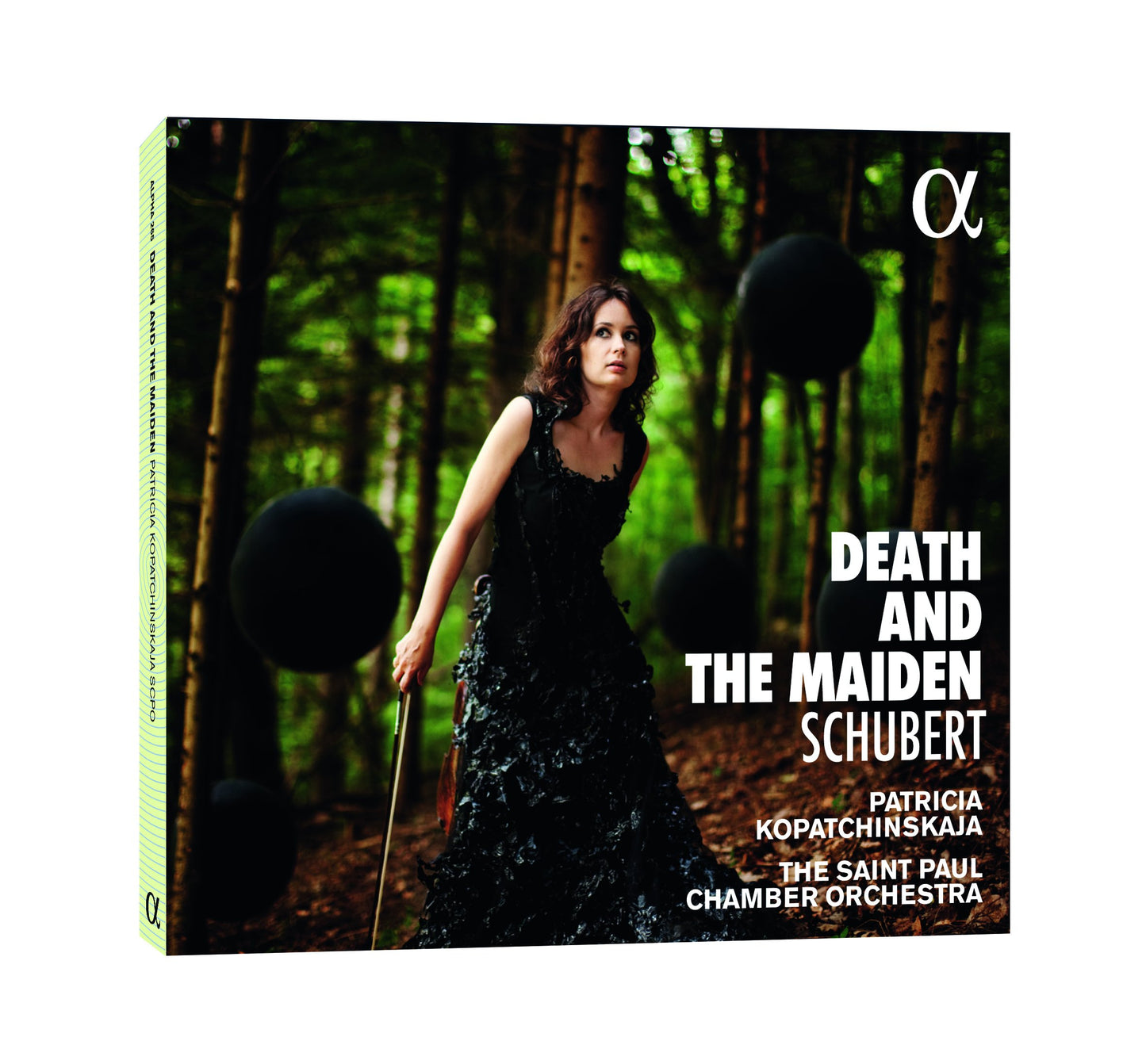 Death & the Maiden book cover