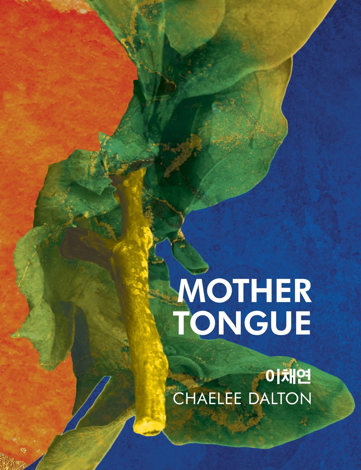 Mother Tongue book cover