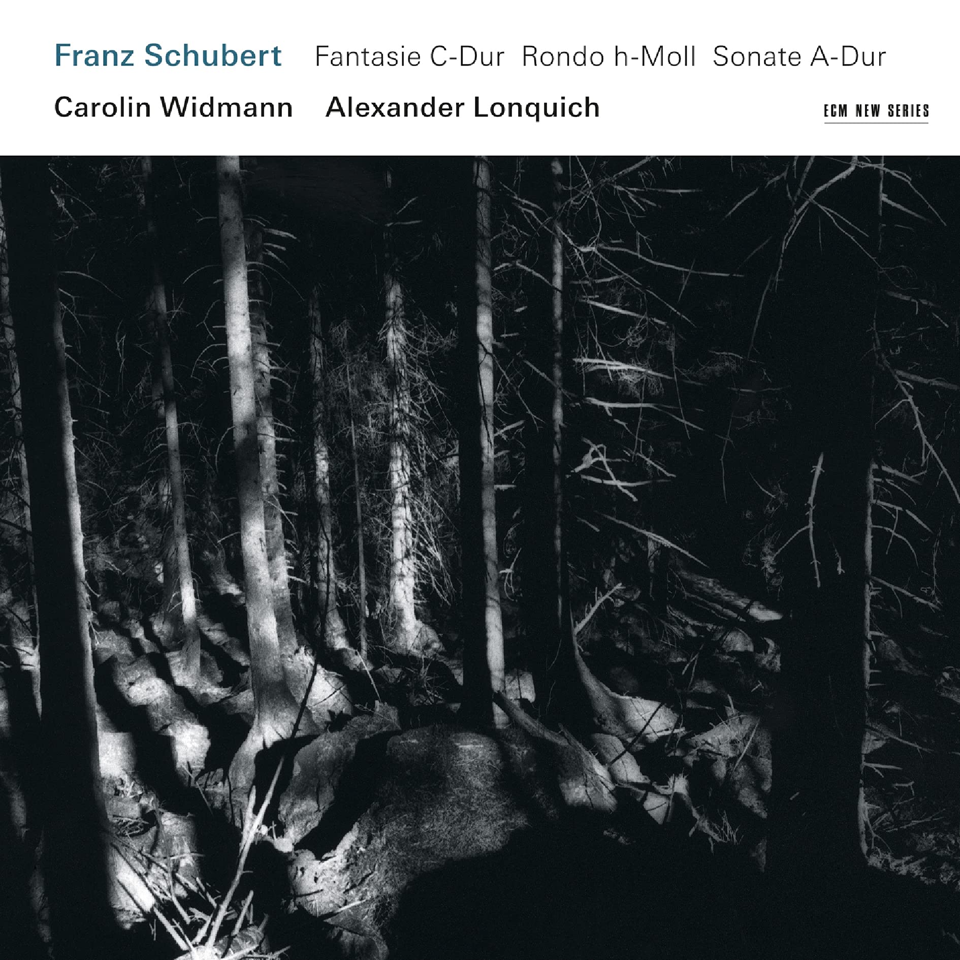 Franz Schubert book cover