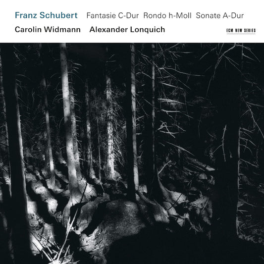 Franz Schubert book cover