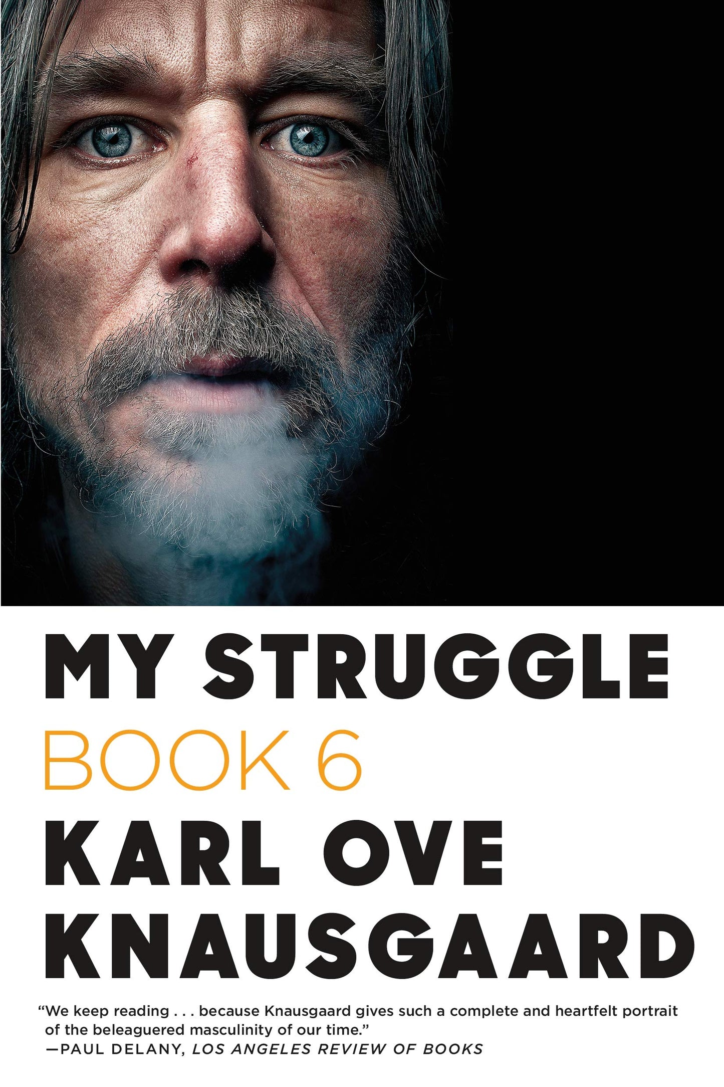 My Struggle: Book 6