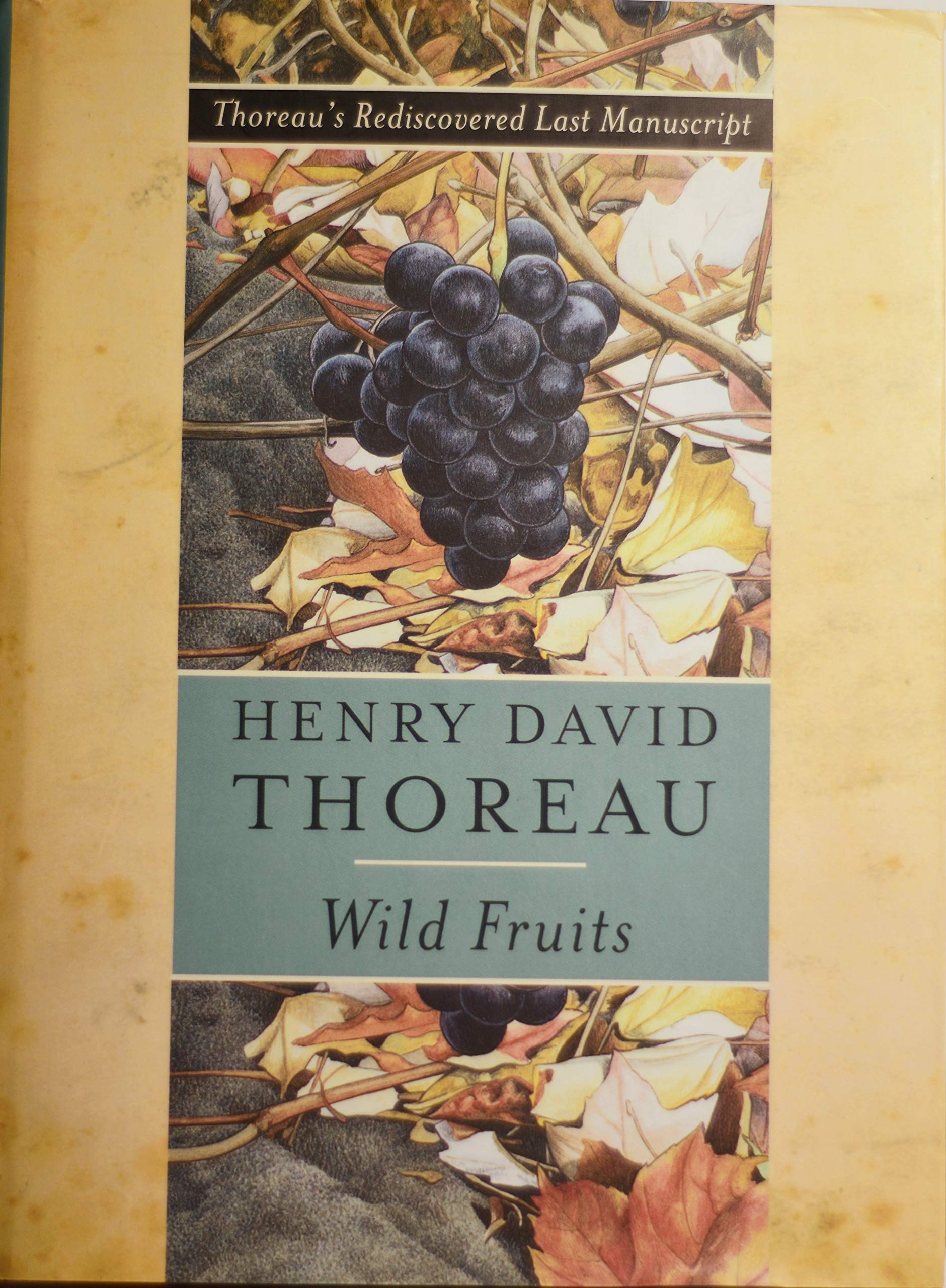 Wild Fruits: Thoreau's Rediscovered Last Manuscript book cover