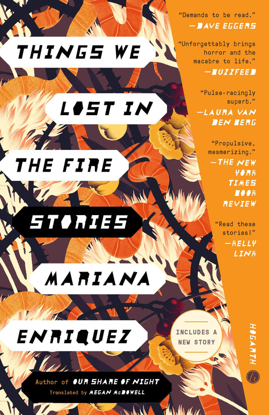 Things We Lost in the Fire: Stories book cover