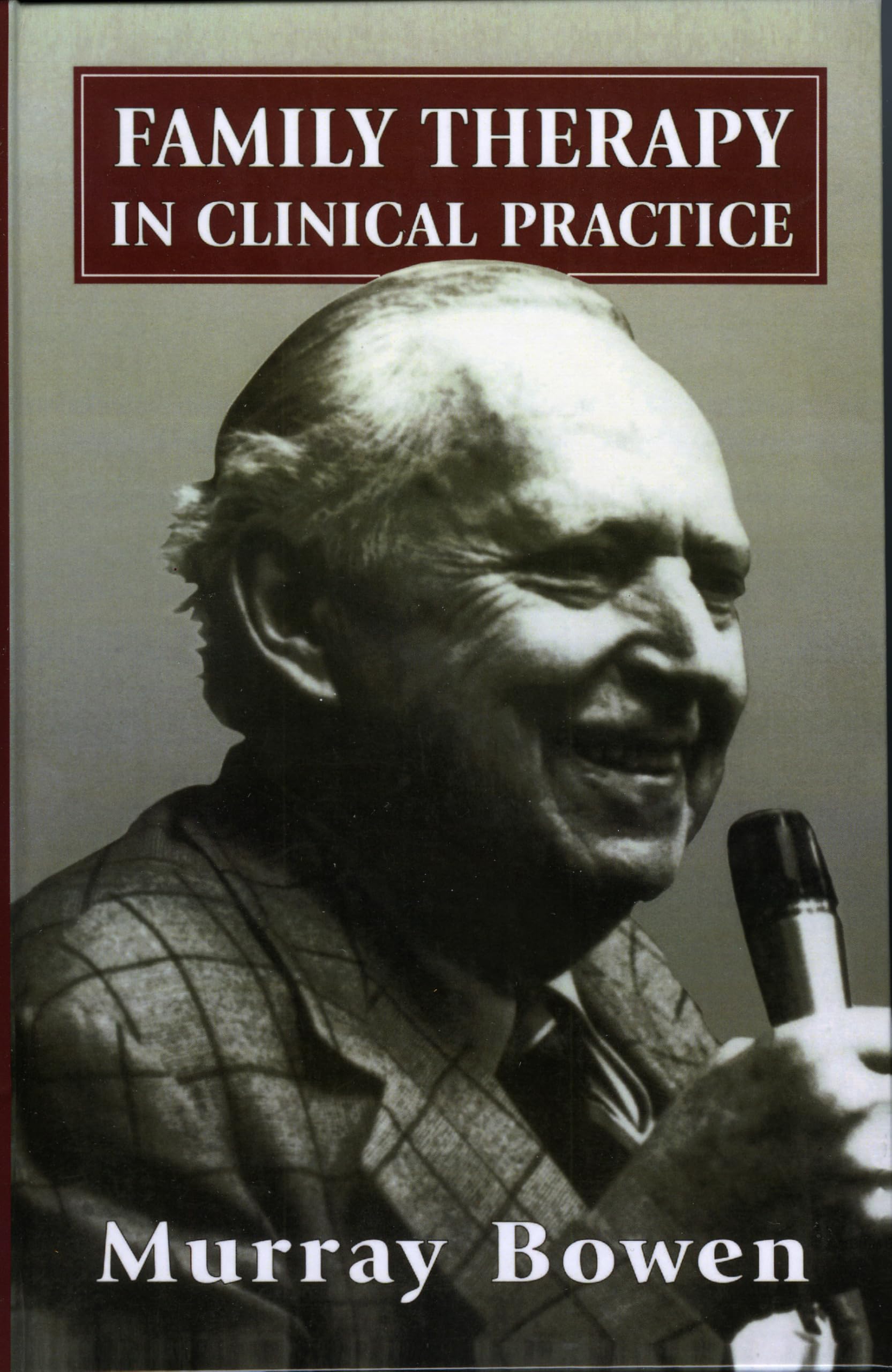 Family Therapy in Clinical Practice book cover