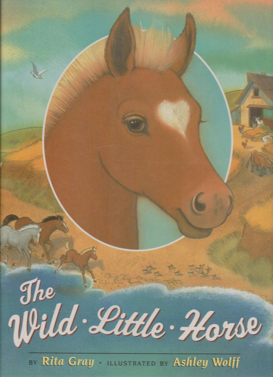 Wild Little Horse book cover