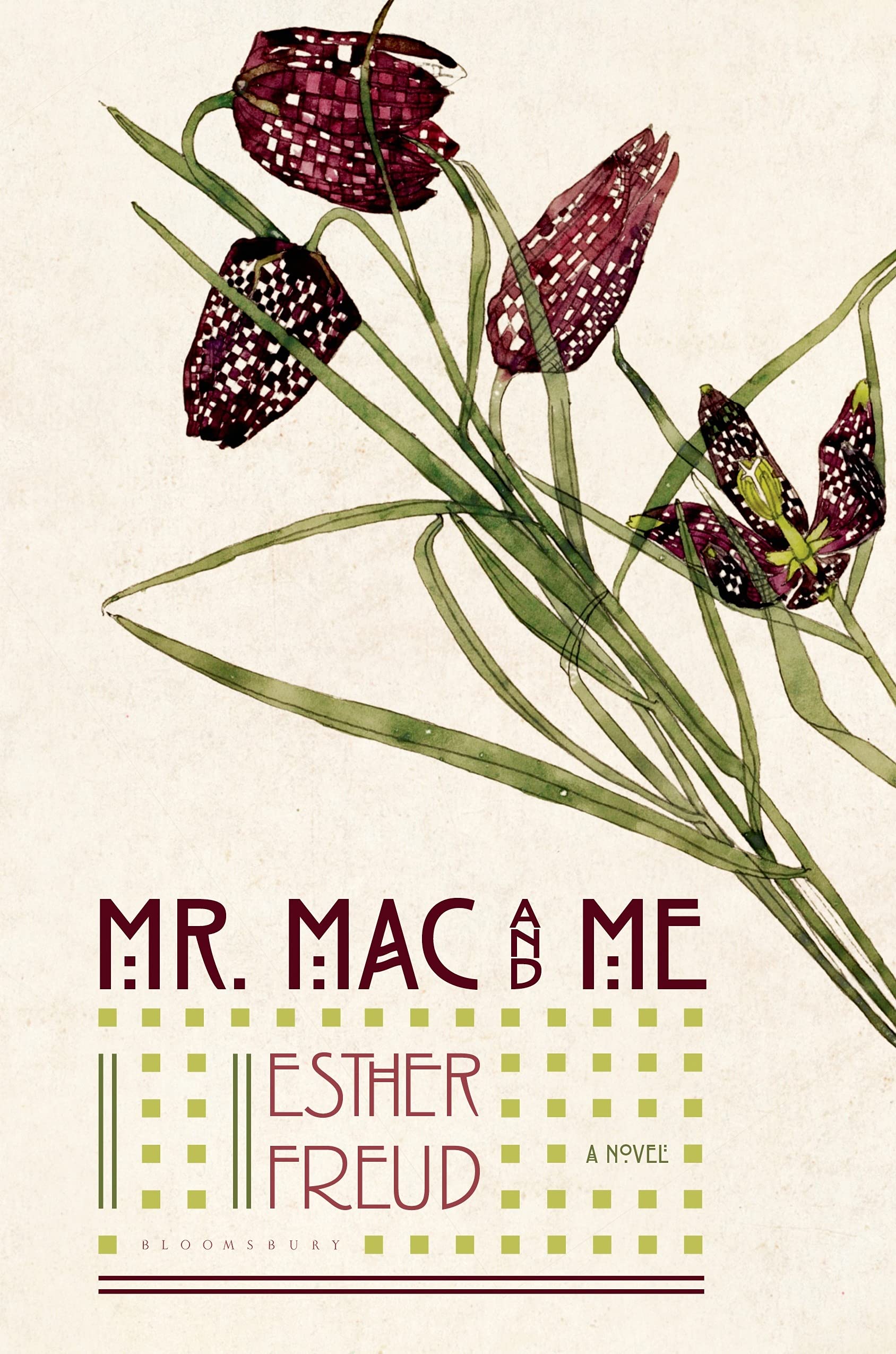 Mr. Mac and Me book cover