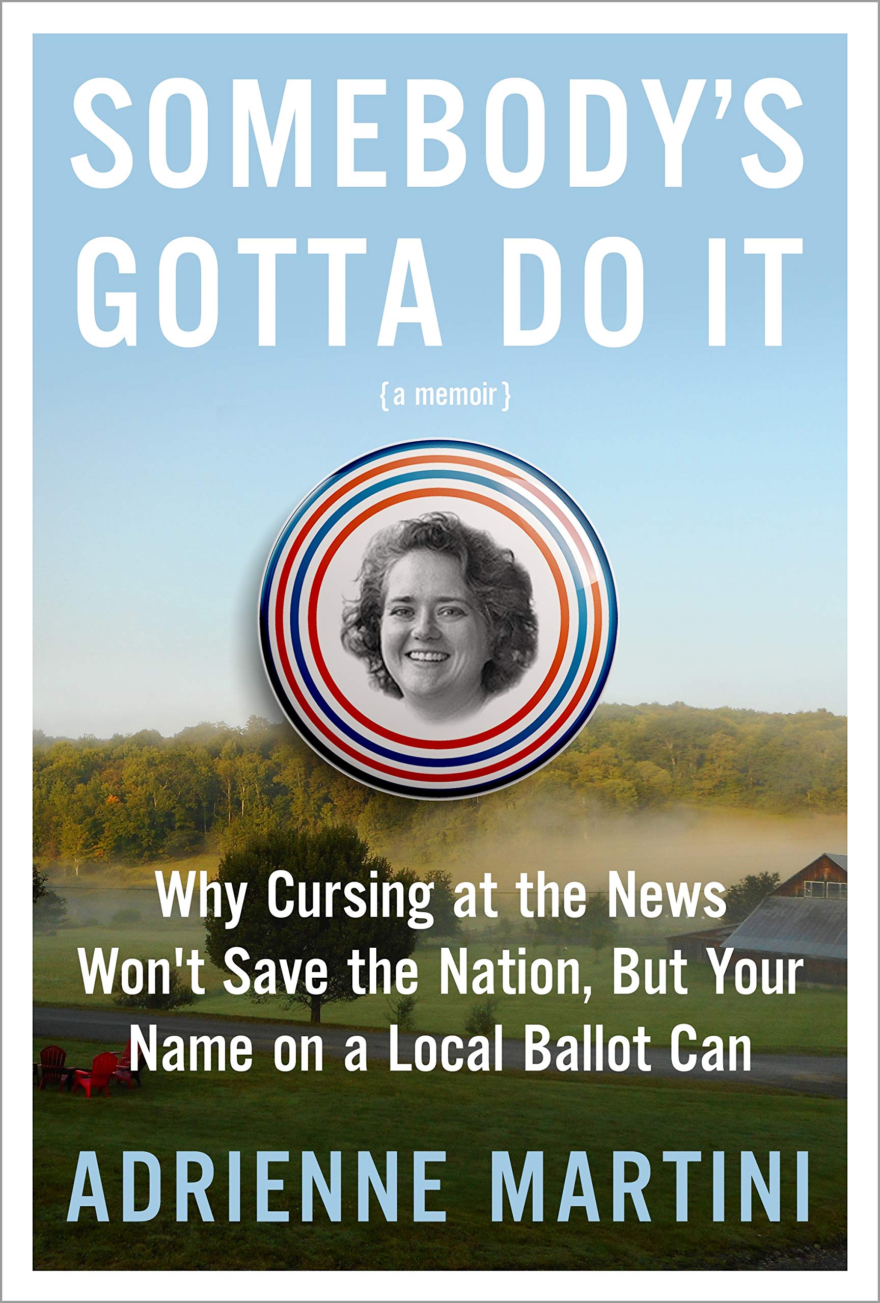Somebody's Gotta Do It: Why Cursing at the News Won't Save the Nation, But Your Name on a Local Ballot Can book cover