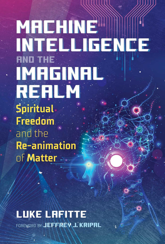 Machine Intelligence and the Imaginal Realm: Spiritual Freedom and the Re-Animation of Matter book cover
