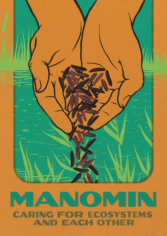 Manomin: Caring for Ecosystems and Each Other book cover
