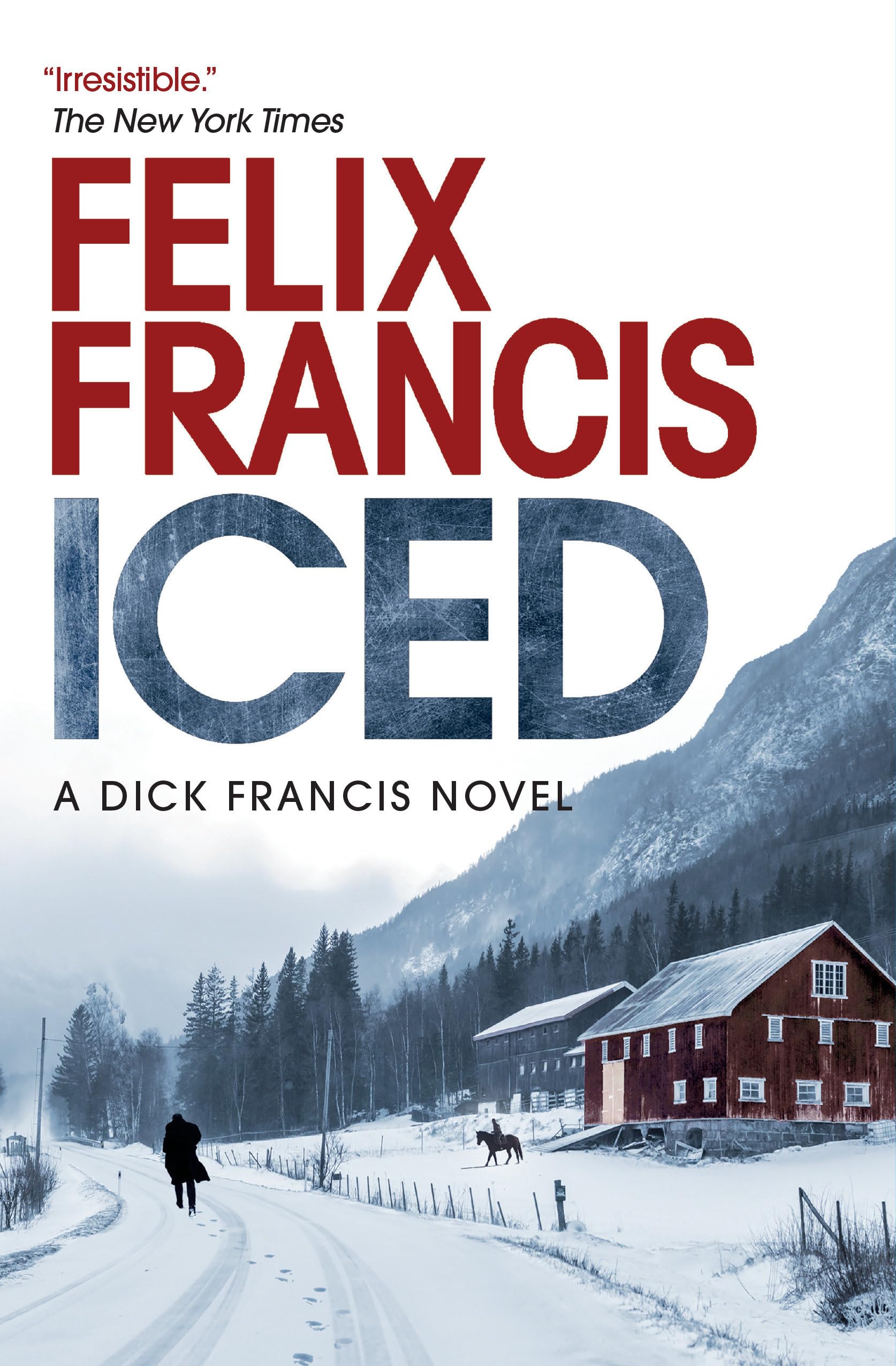 Iced book cover