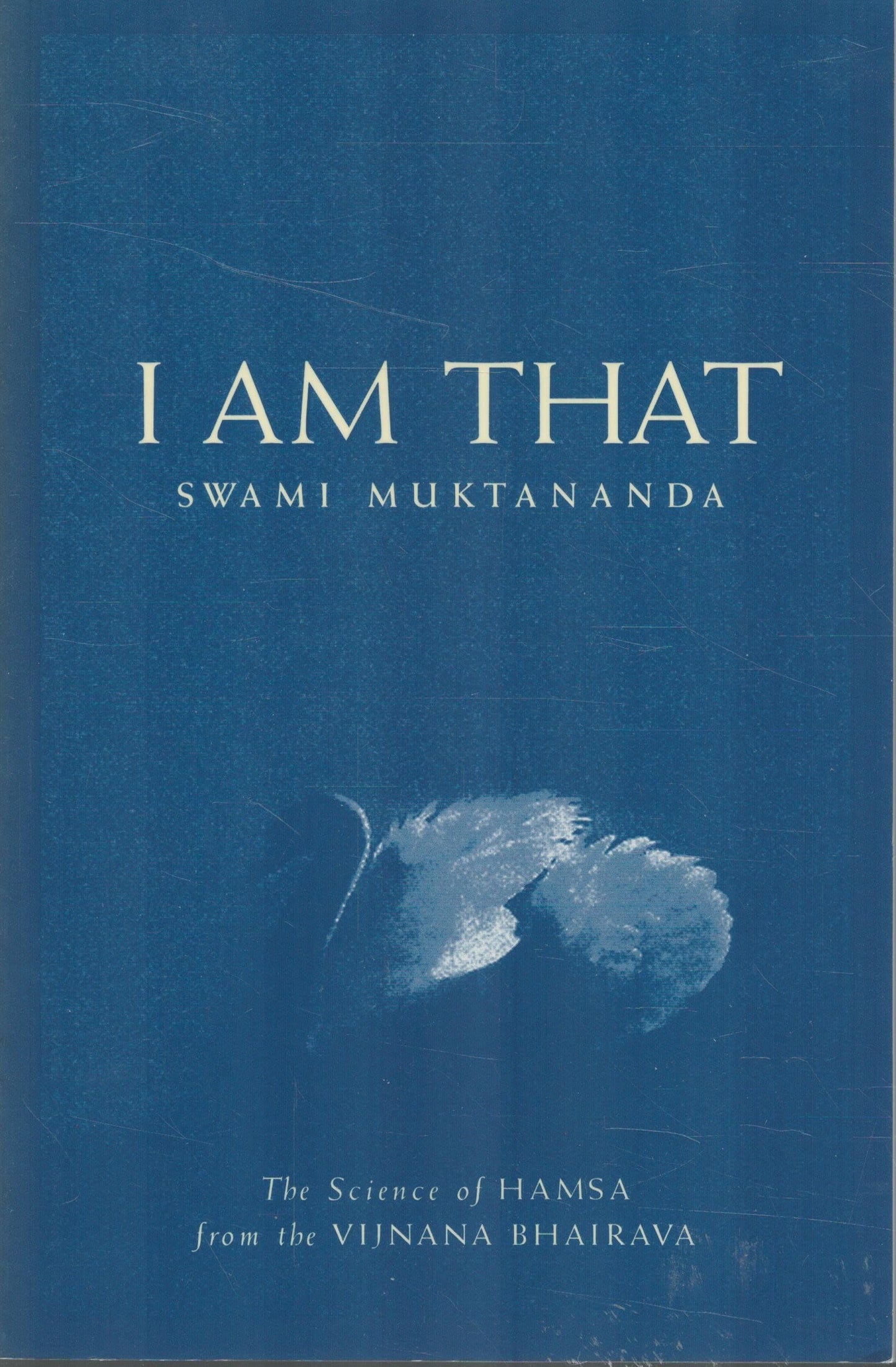 I Am That: The Science of Hamsa from the Vijnana Bhairava book cover