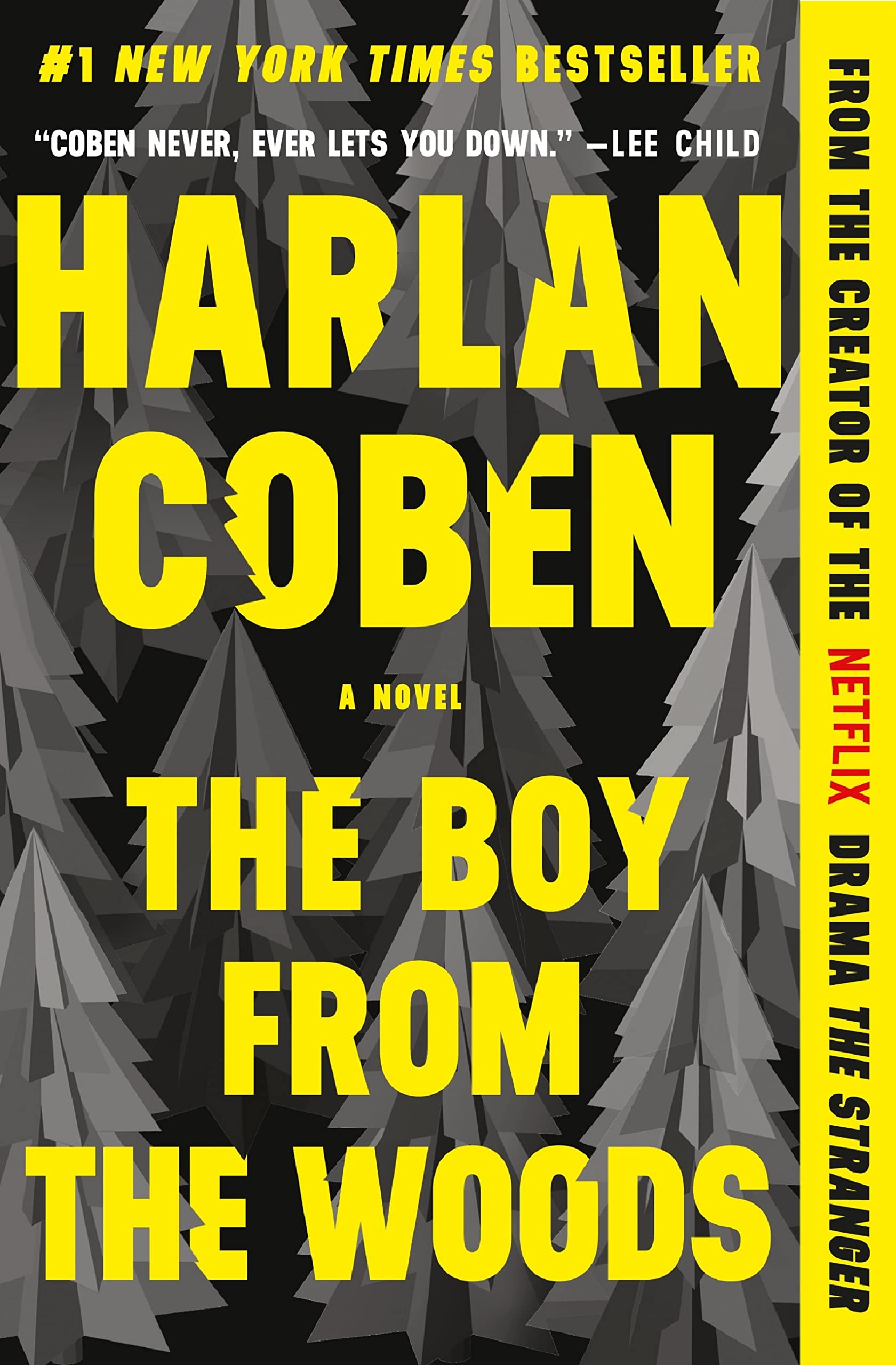 Boy from the Woods book cover
