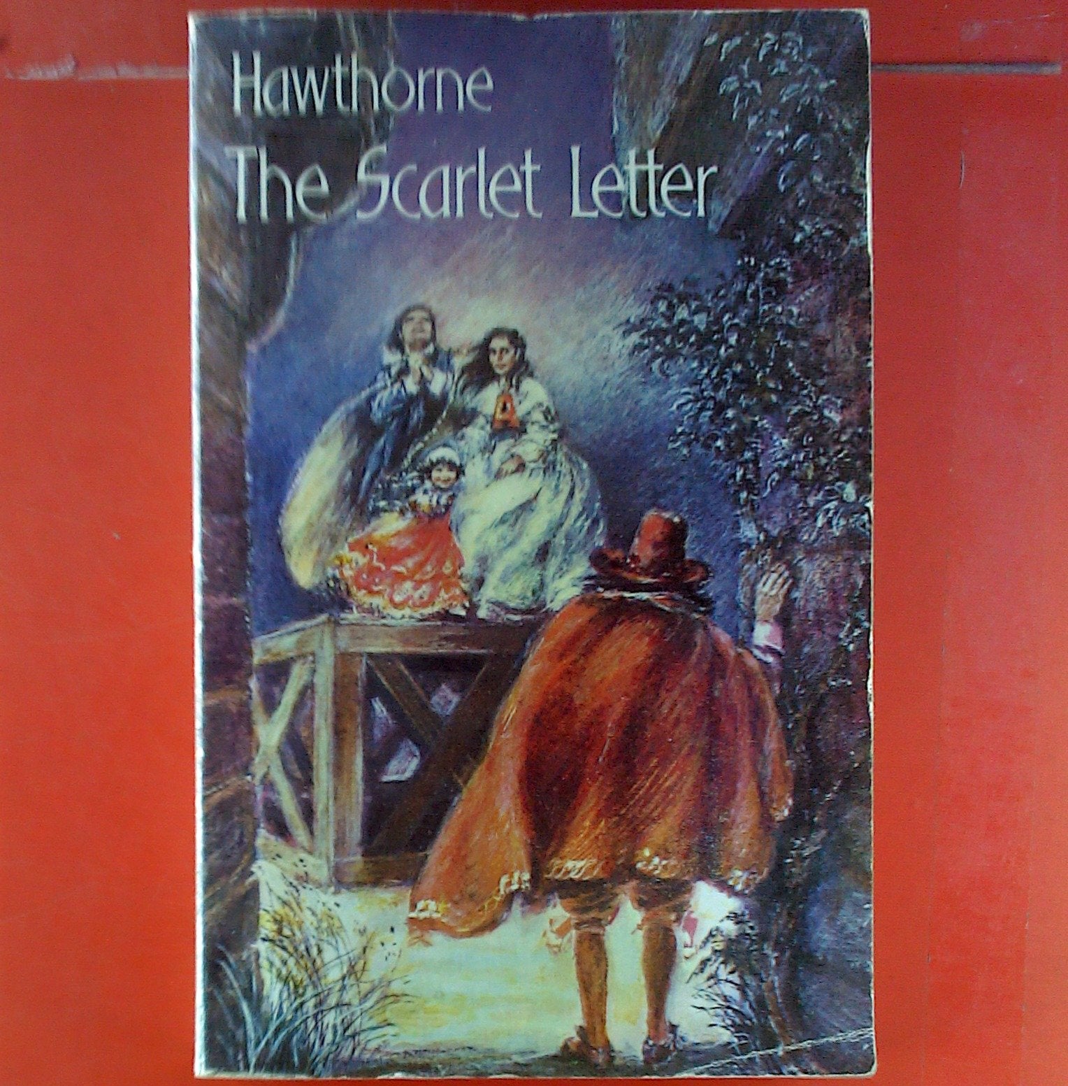Scarlet Letter: An Authoritative Text, Backgrounds and Sources, Criticism book cover
