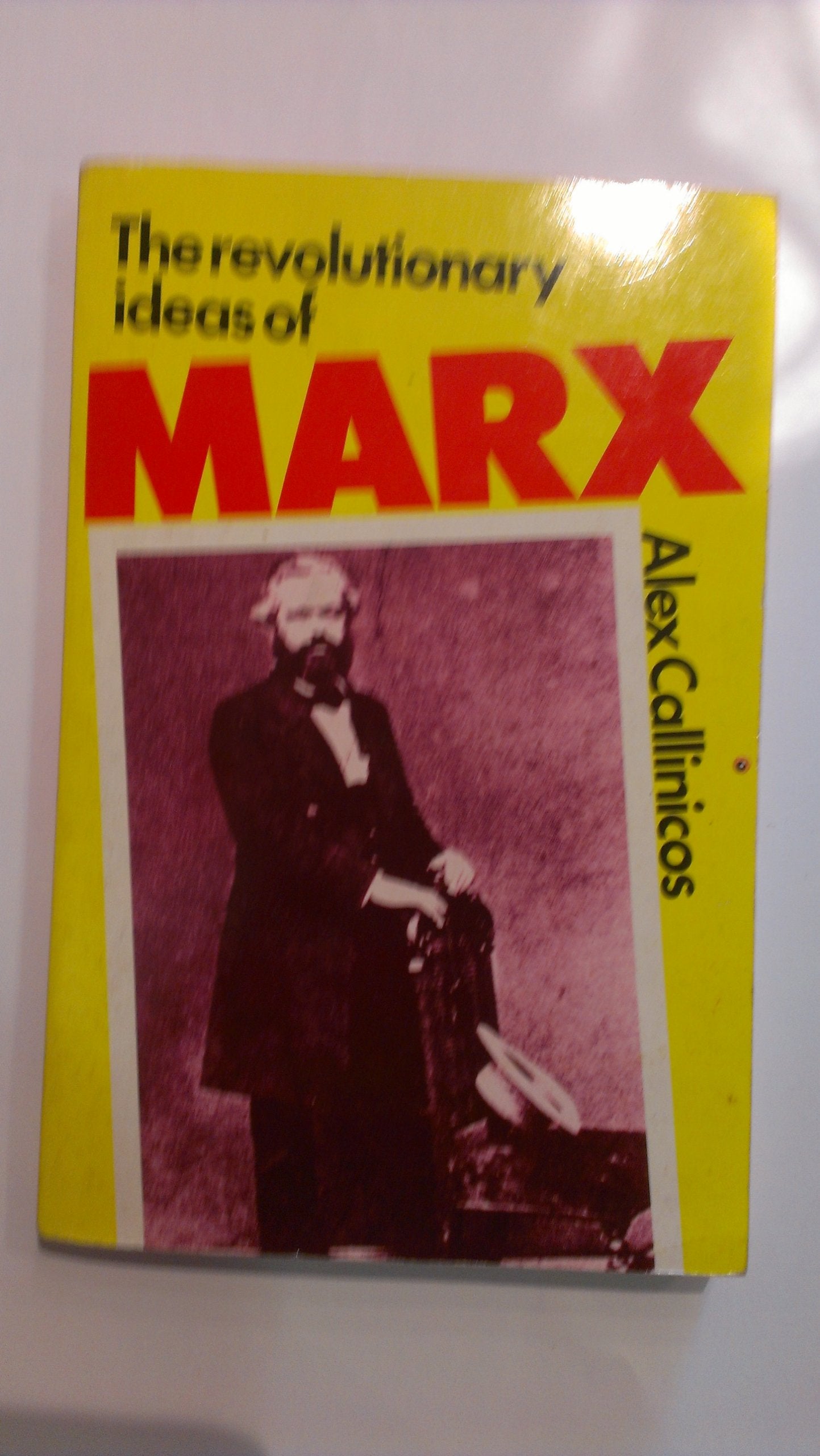 The revolutionary ideas of Karl Marx book cover