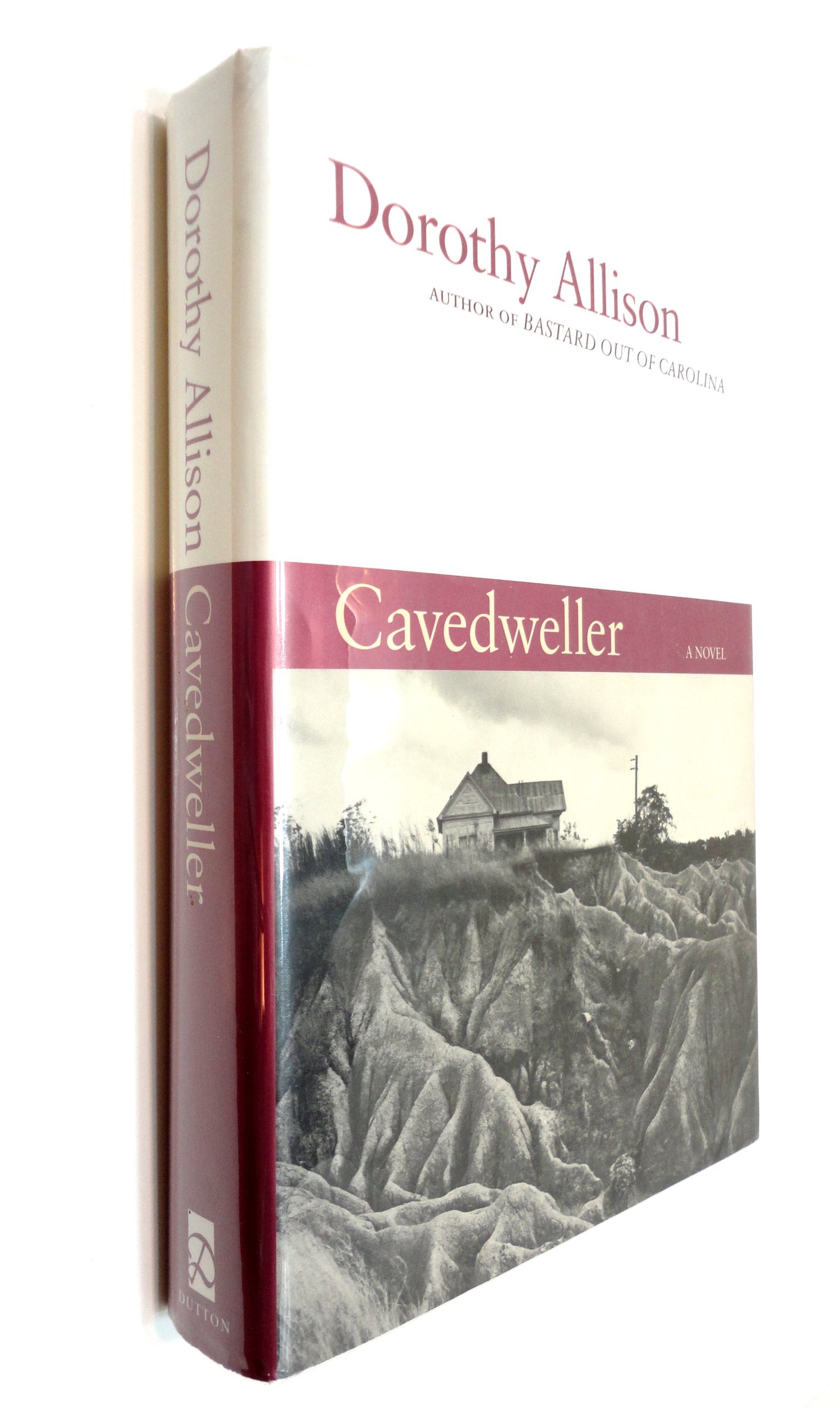 Cavedweller book cover