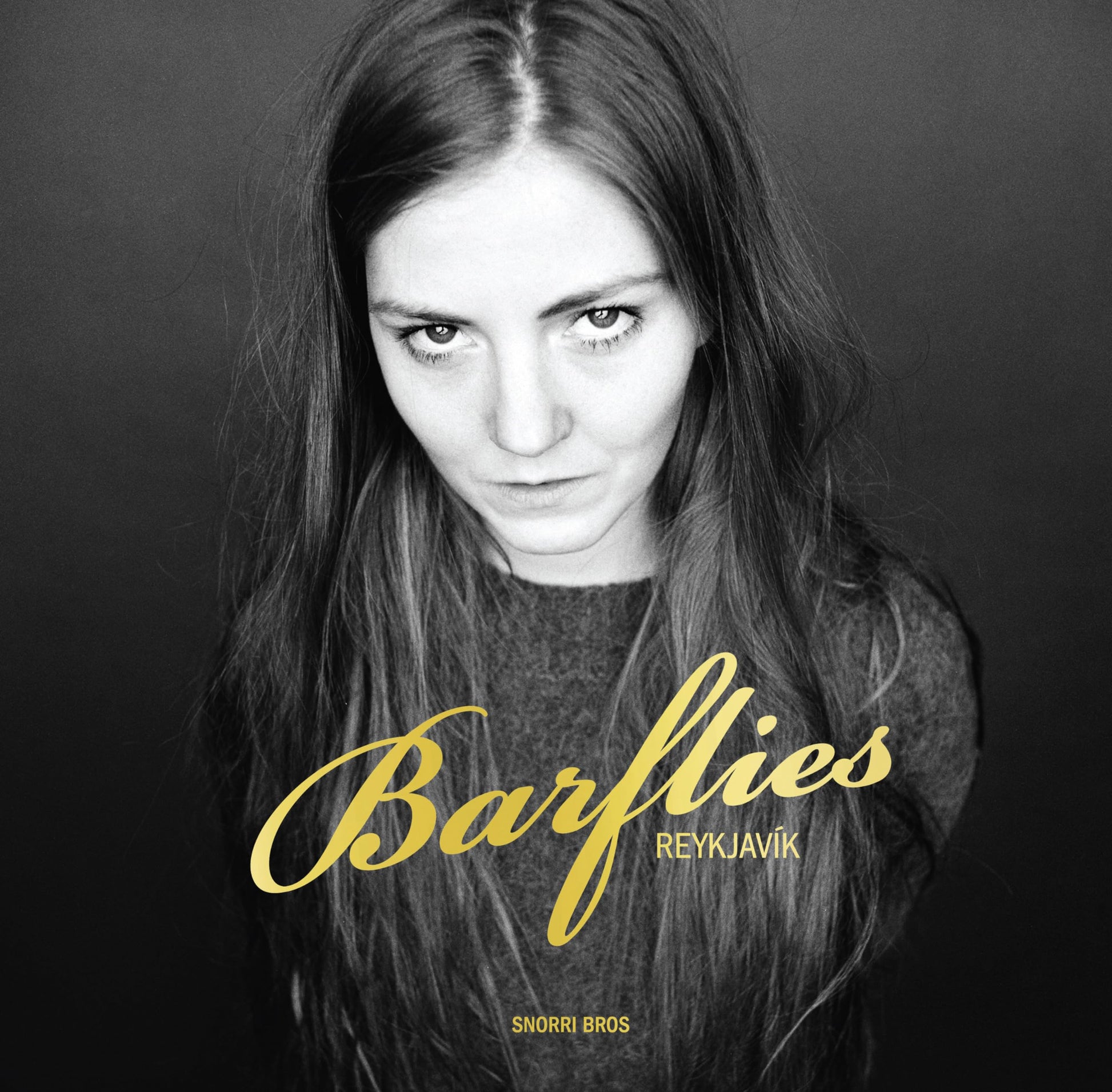 Barflies: Reykjavik 2 book cover