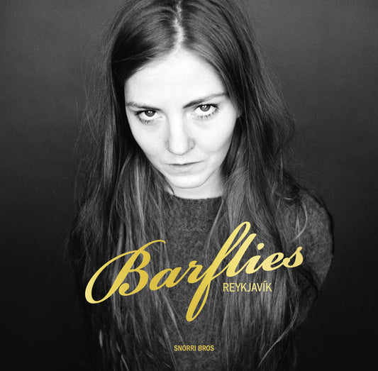 Barflies: Reykjavik 2 book cover