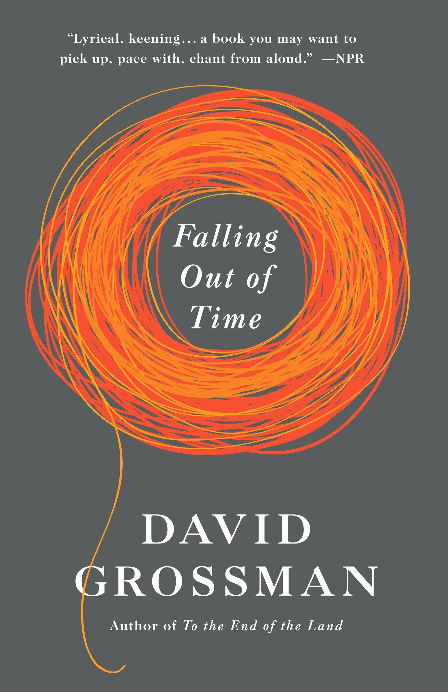 Falling Out of Time book cover