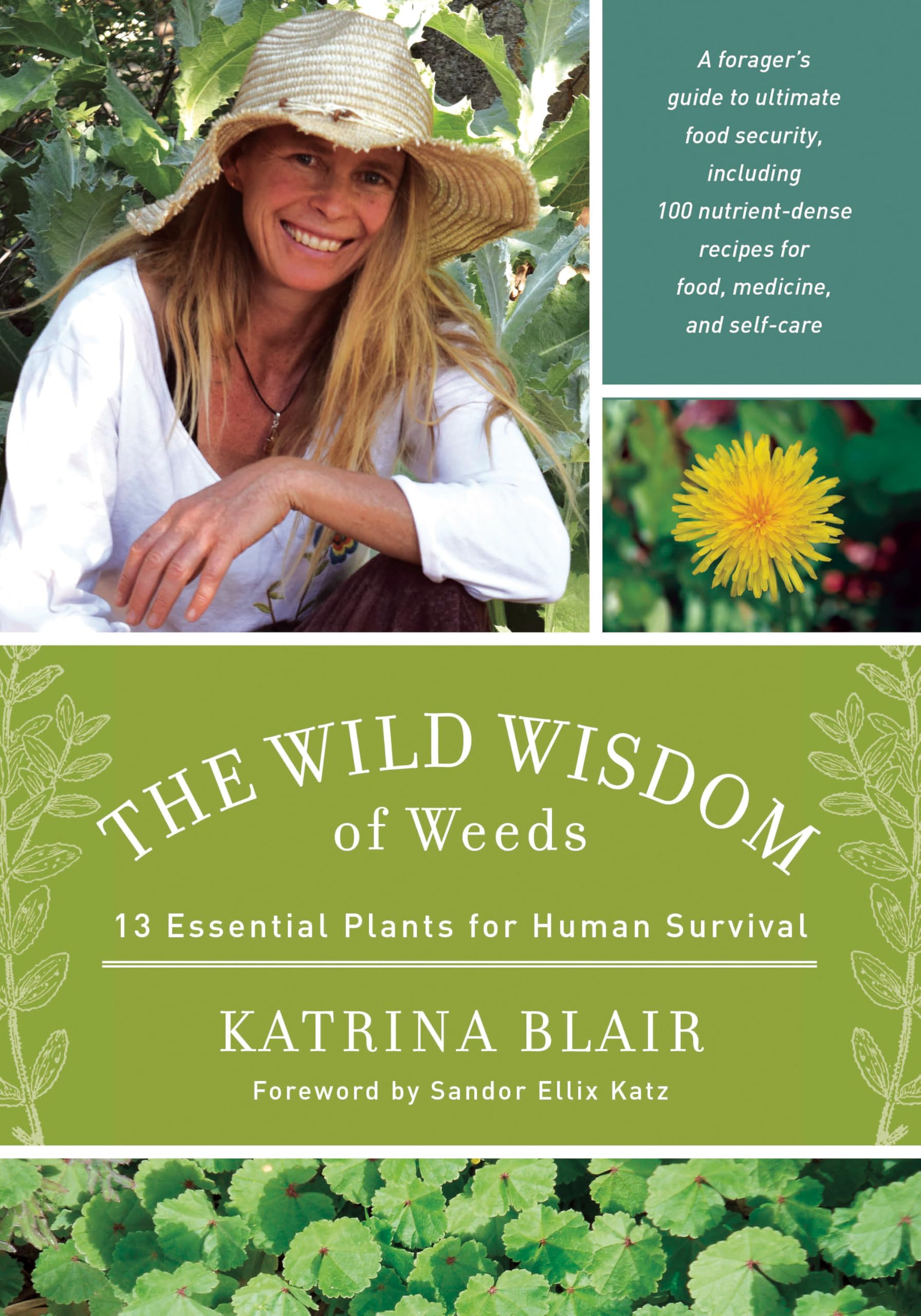 Wild Wisdom of Weeds: 13 Essential Plants for Human Survival book cover