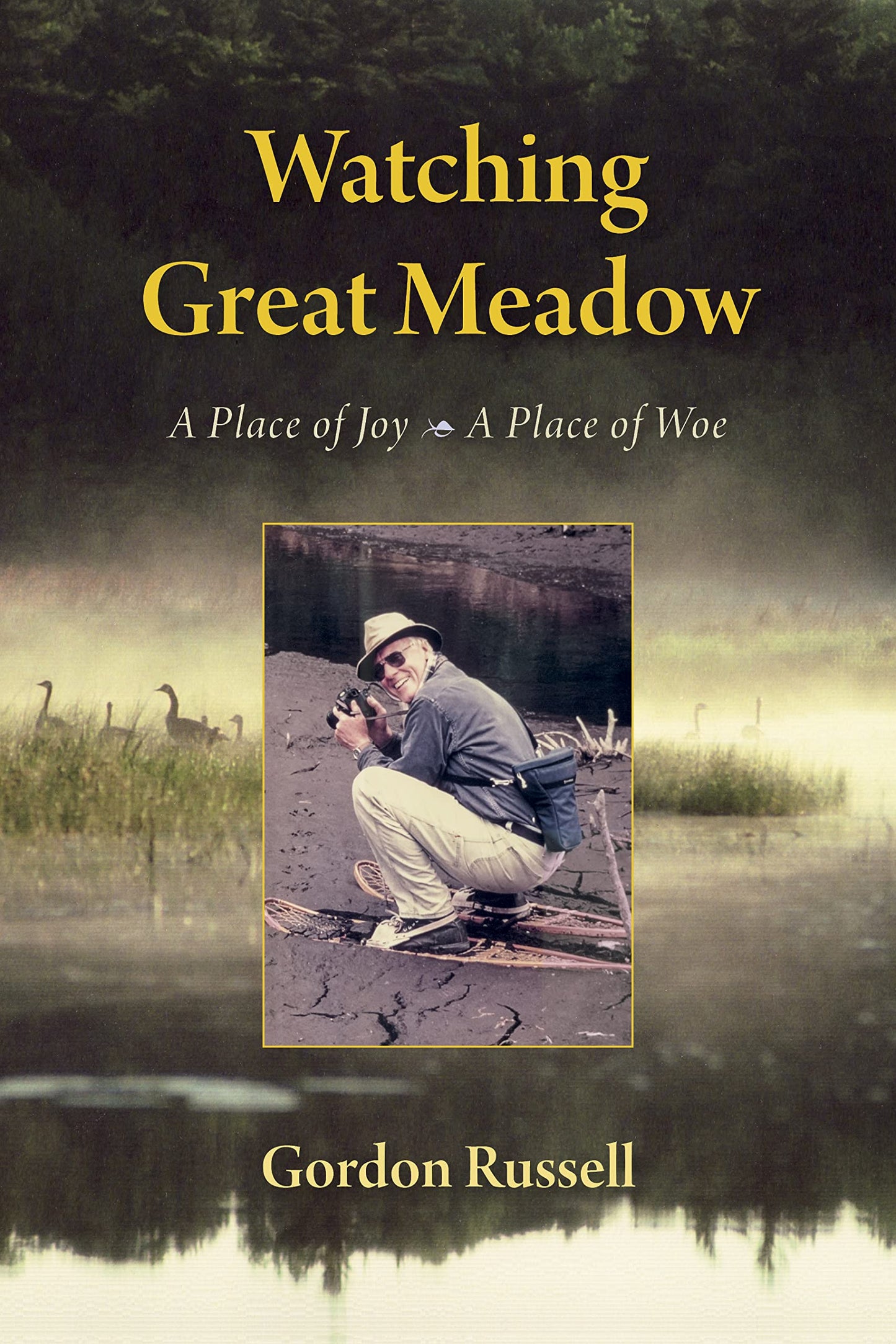 Watching Great Meadow: A Place of Joy, a Place of Woe book cover