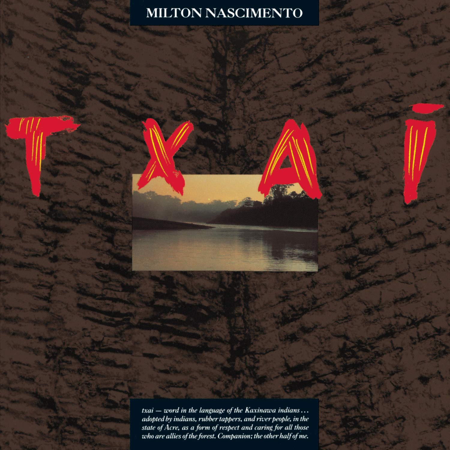Txai book cover