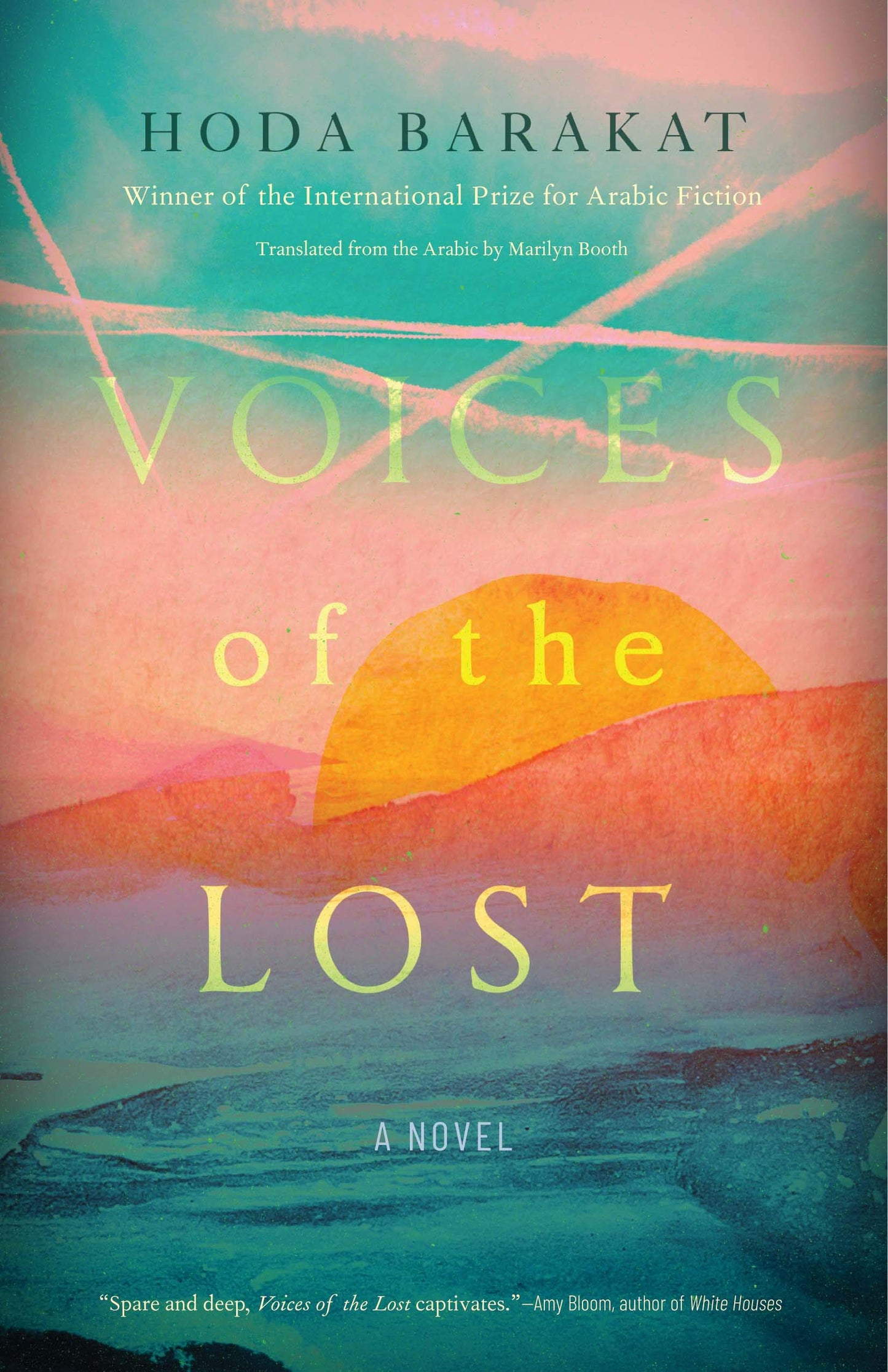 Voices of the Lost book cover