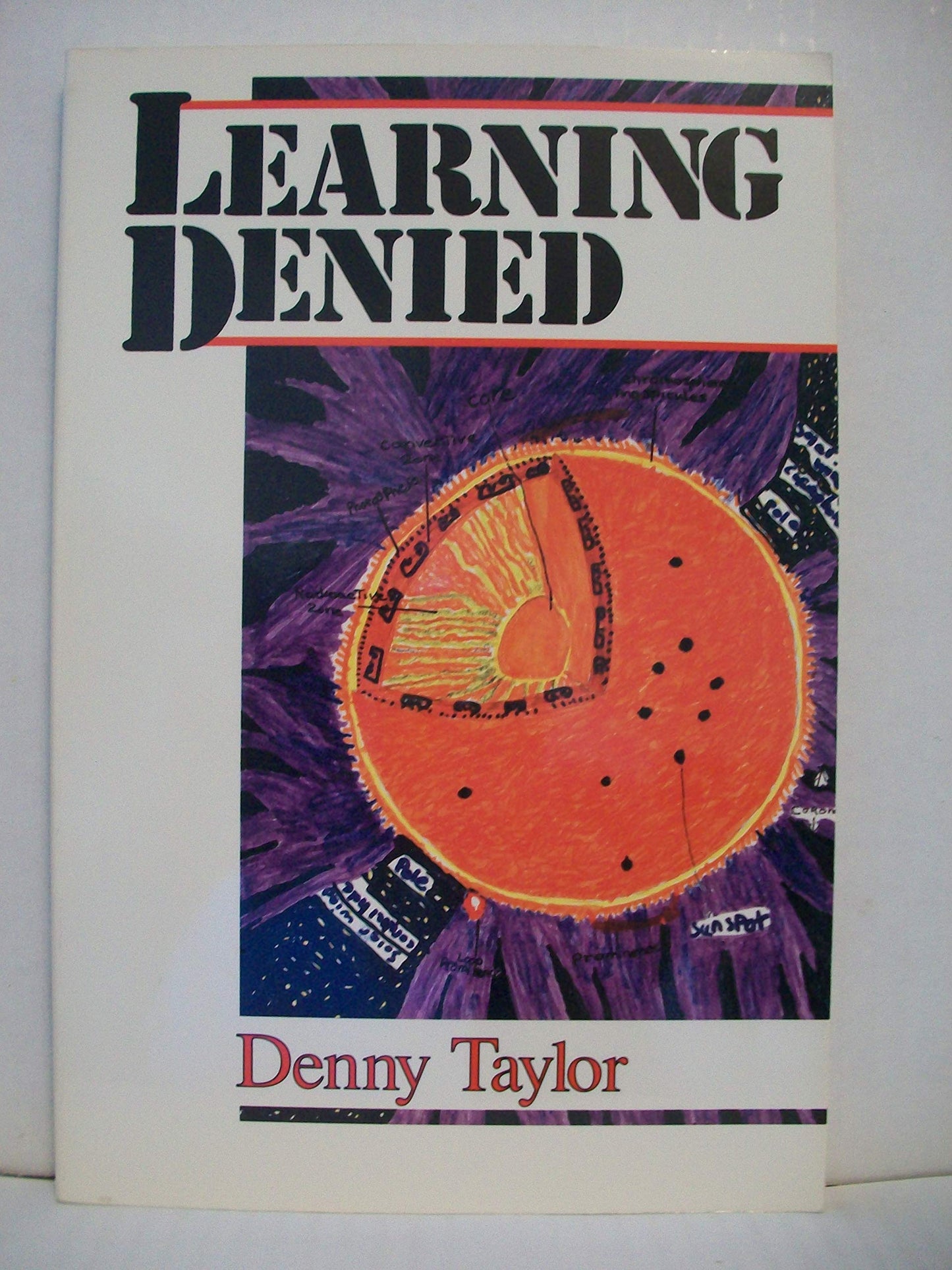 Learning Denied book cover