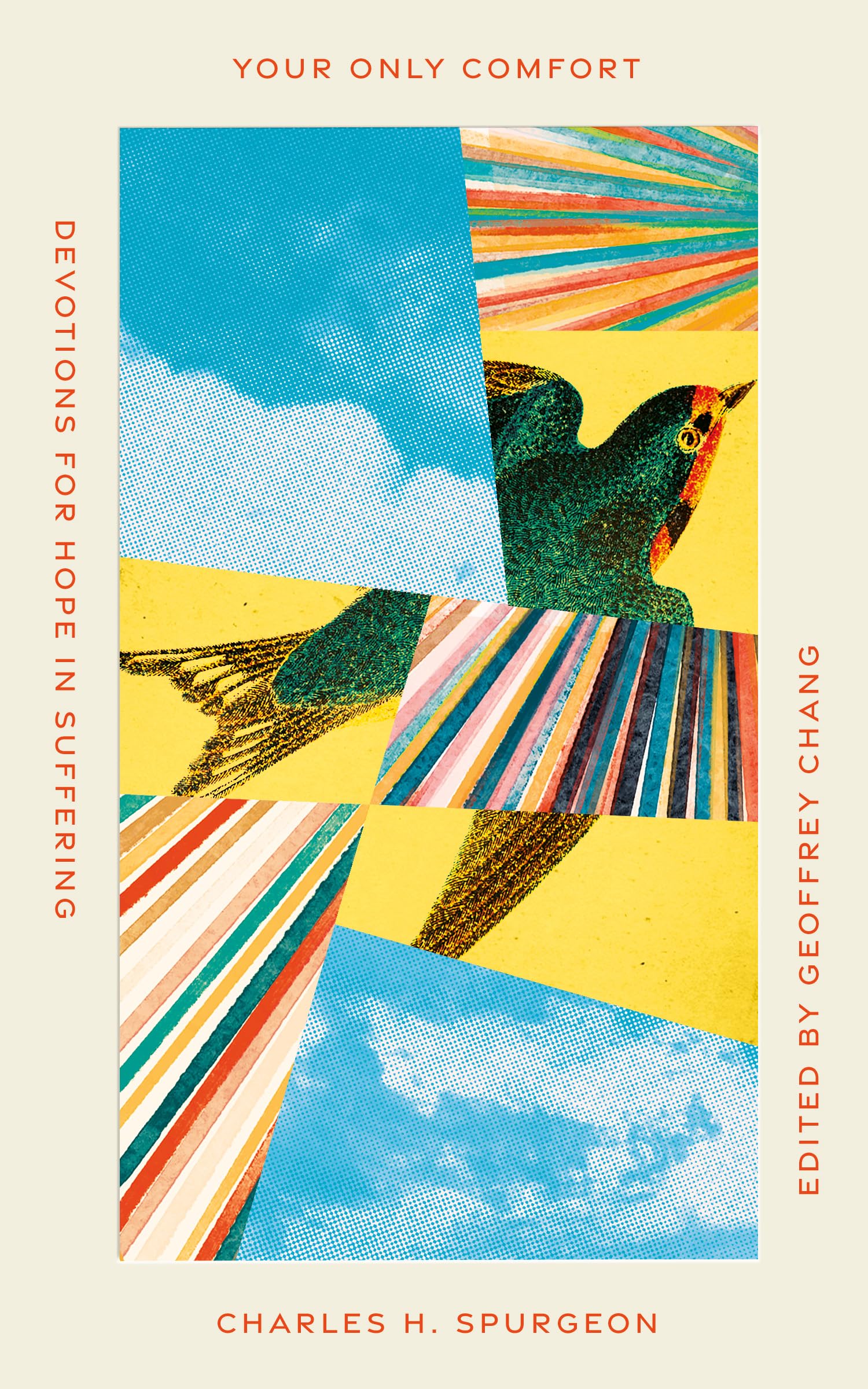 Your Only Comfort: Devotions for Hope in Suffering book cover
