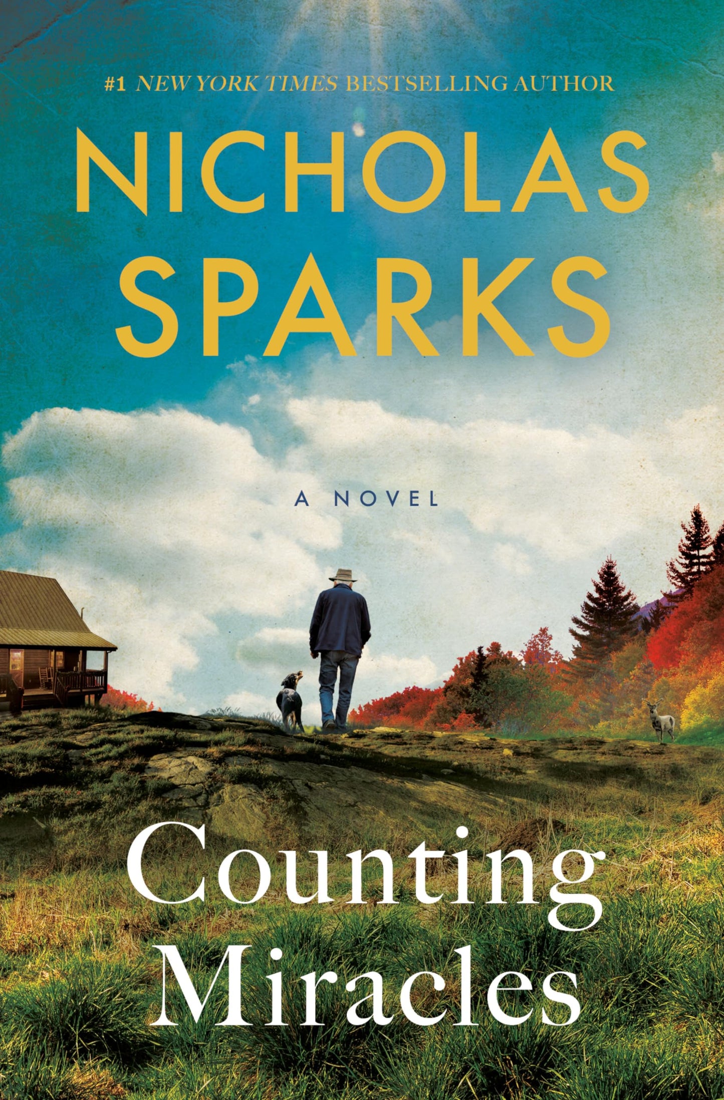 Counting Miracles book cover