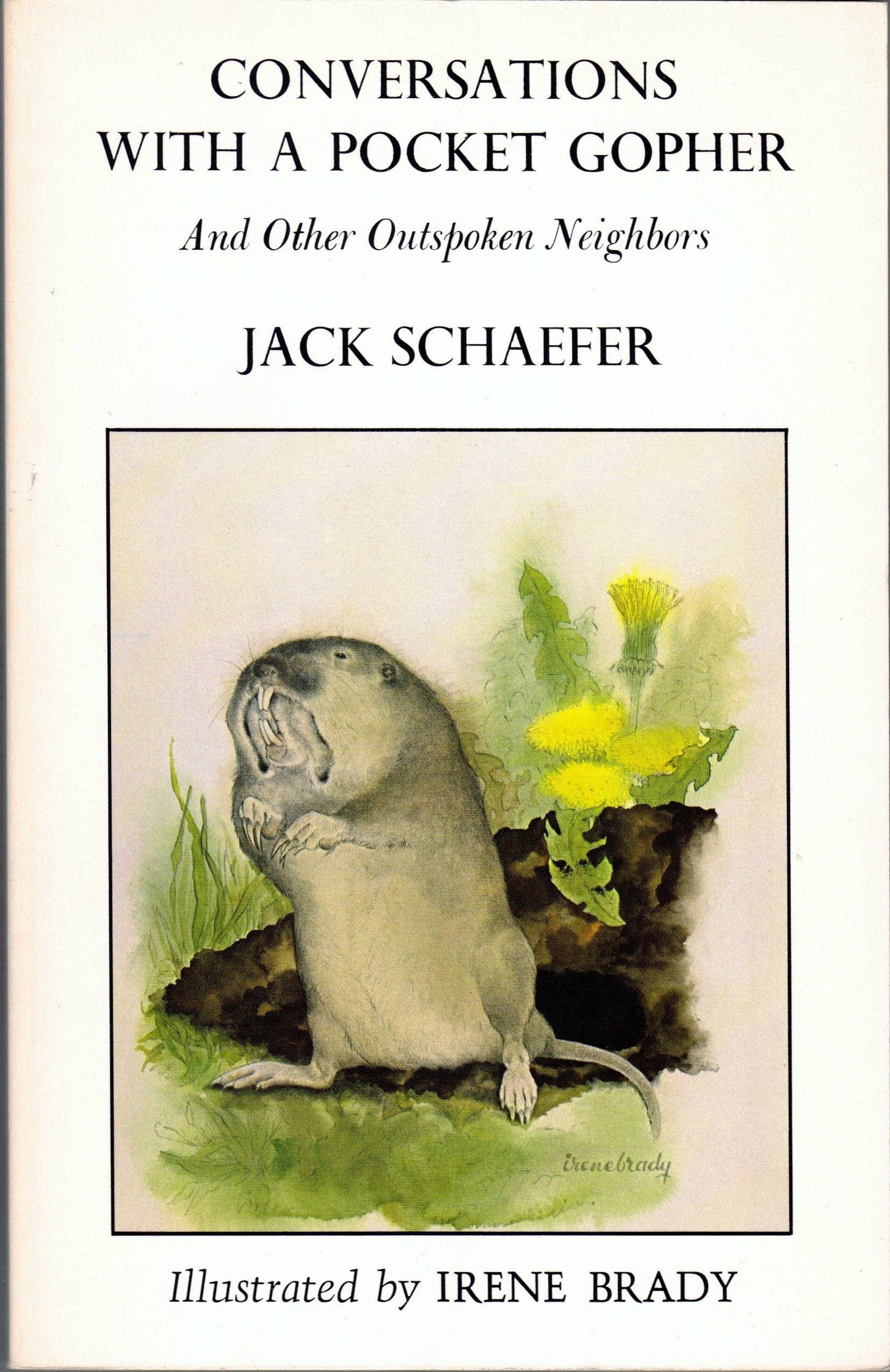 Conversations with a Pocket Gopher