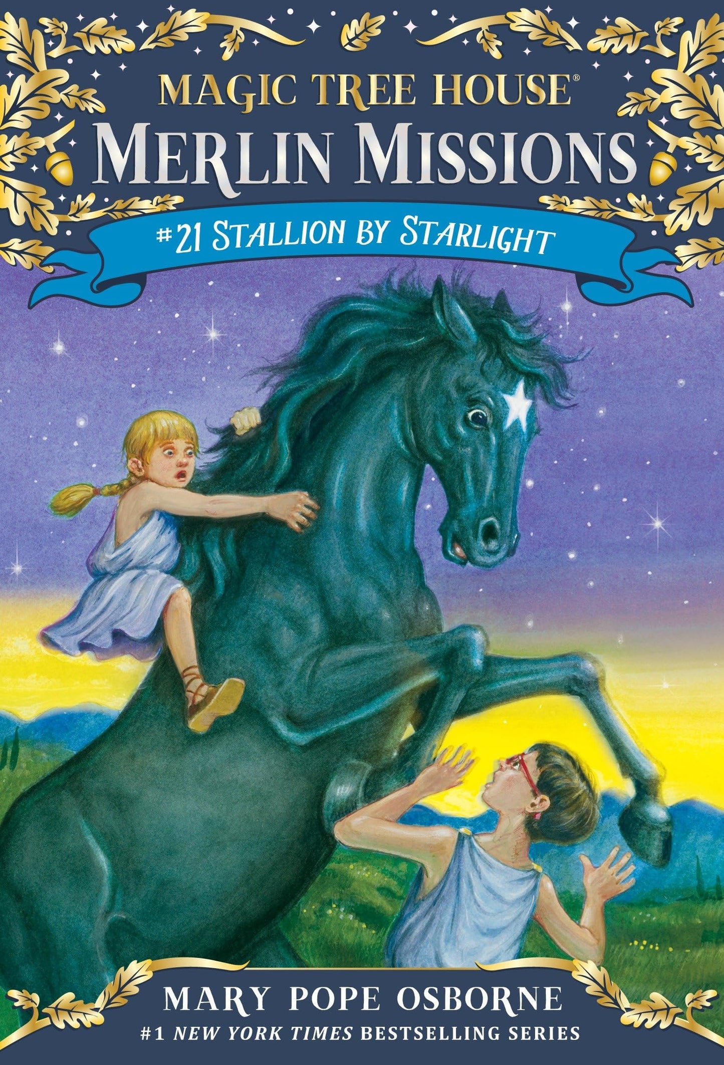 Stallion by Starlight book cover