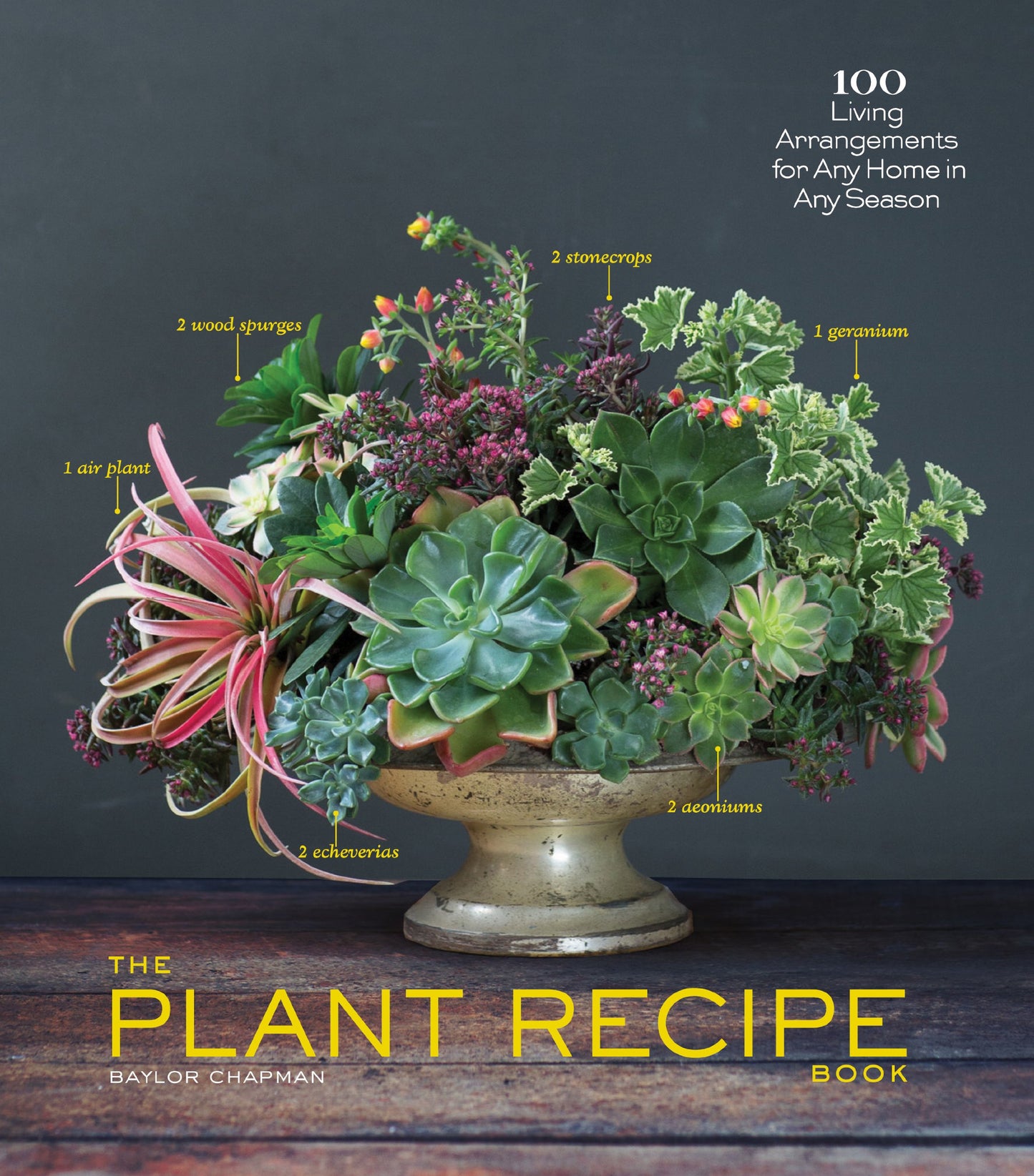 Plant Recipe Book: 100 Living Arrangements for Any Home in Any Season book cover
