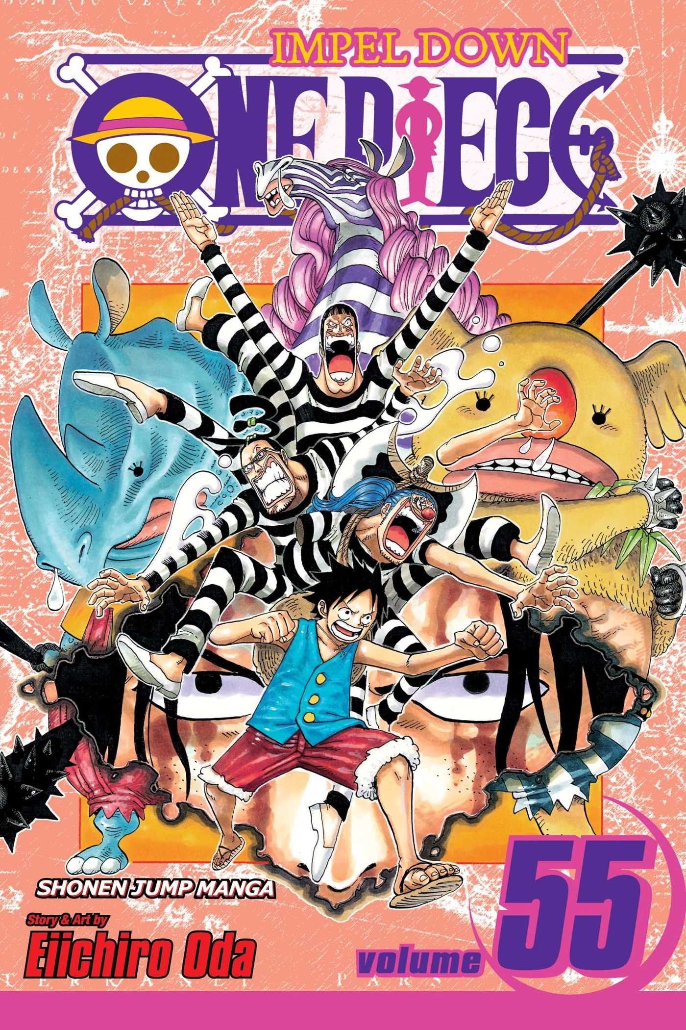 One Piece, Vol. 55: A Ray of Hope book cover