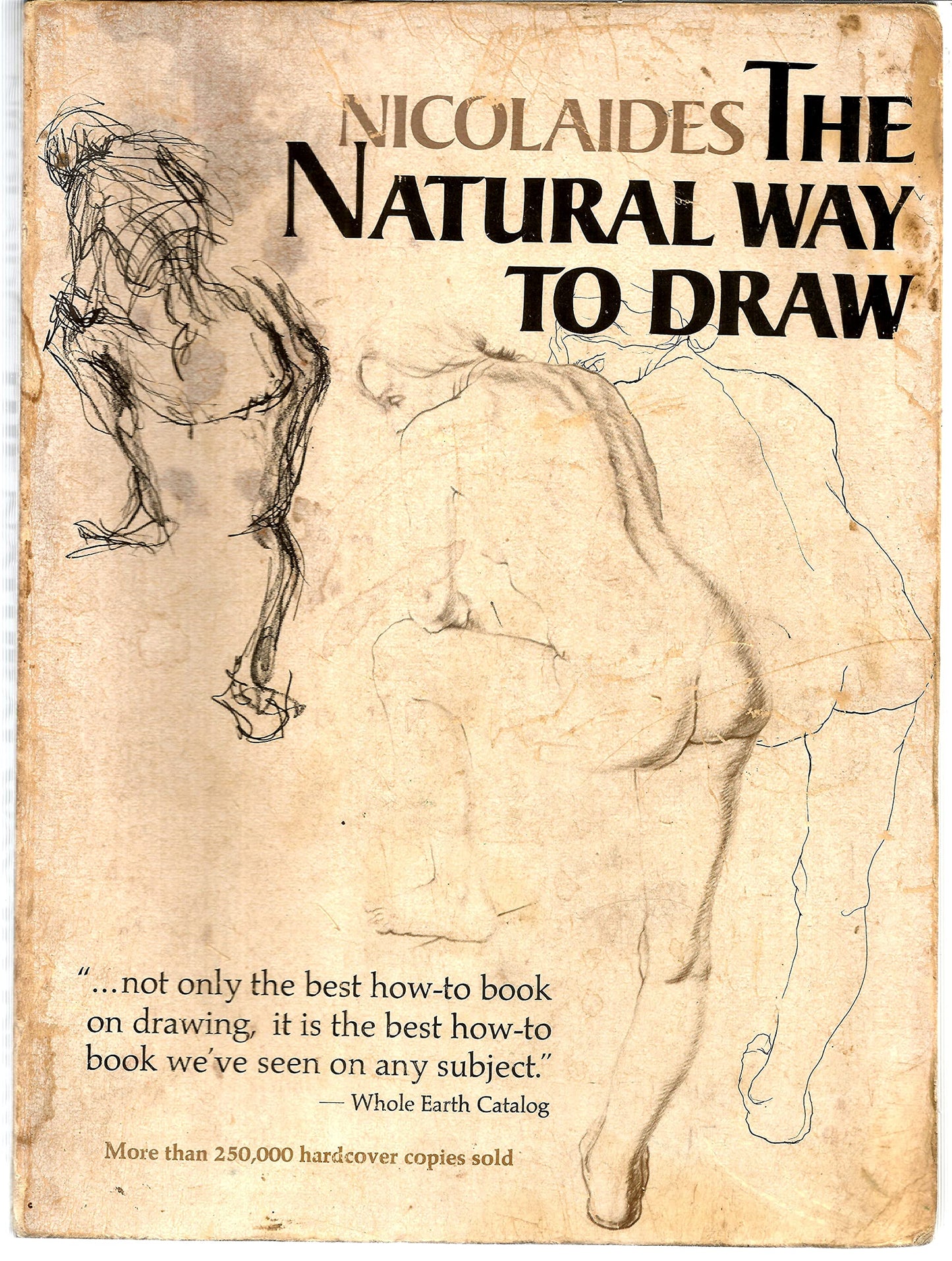 Natural Way to Draw: A Working Plan for Art Study book cover