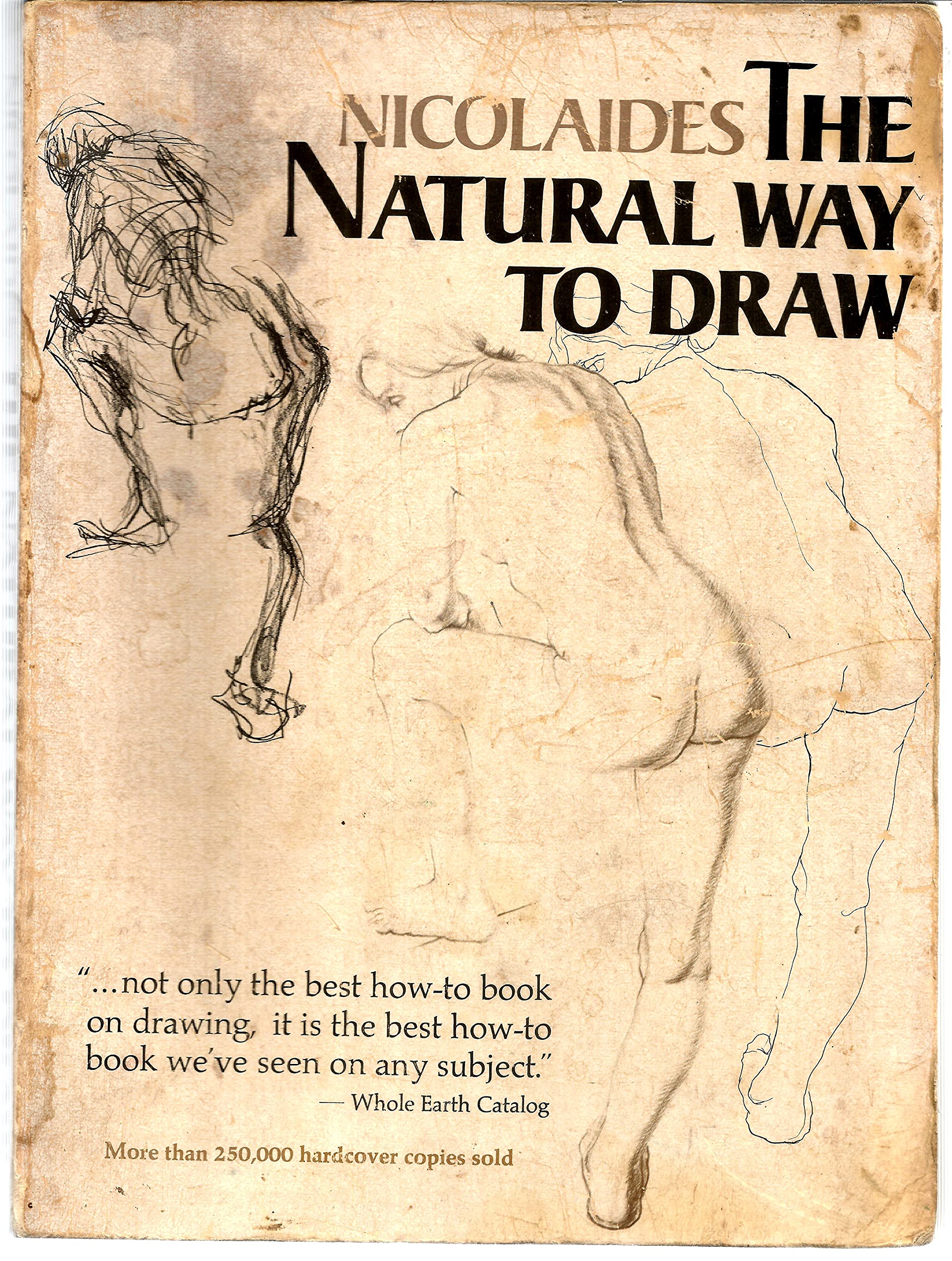 Natural Way to Draw: A Working Plan for Art Study book cover