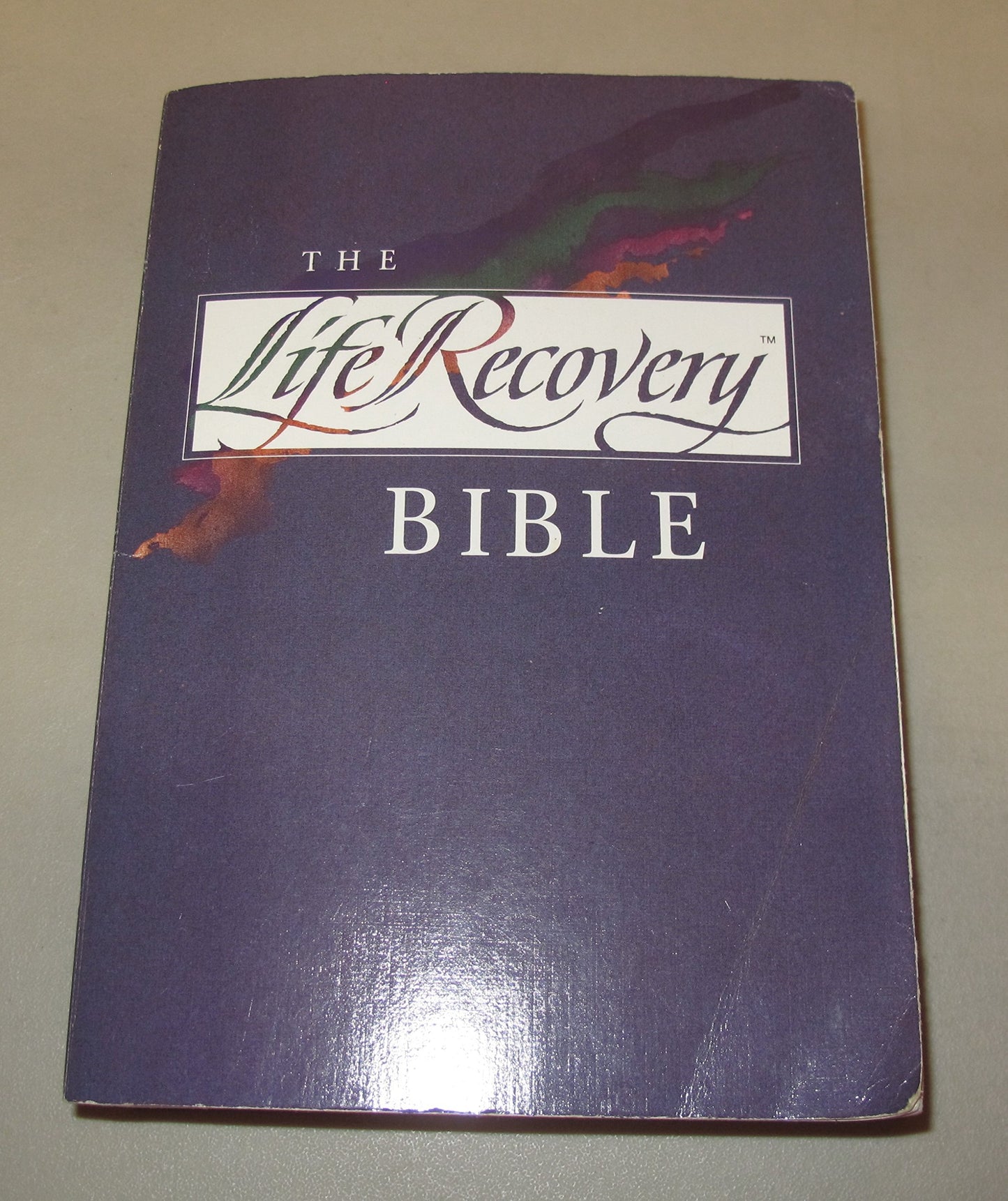 Life Recovery Bible: The Living Bible book cover