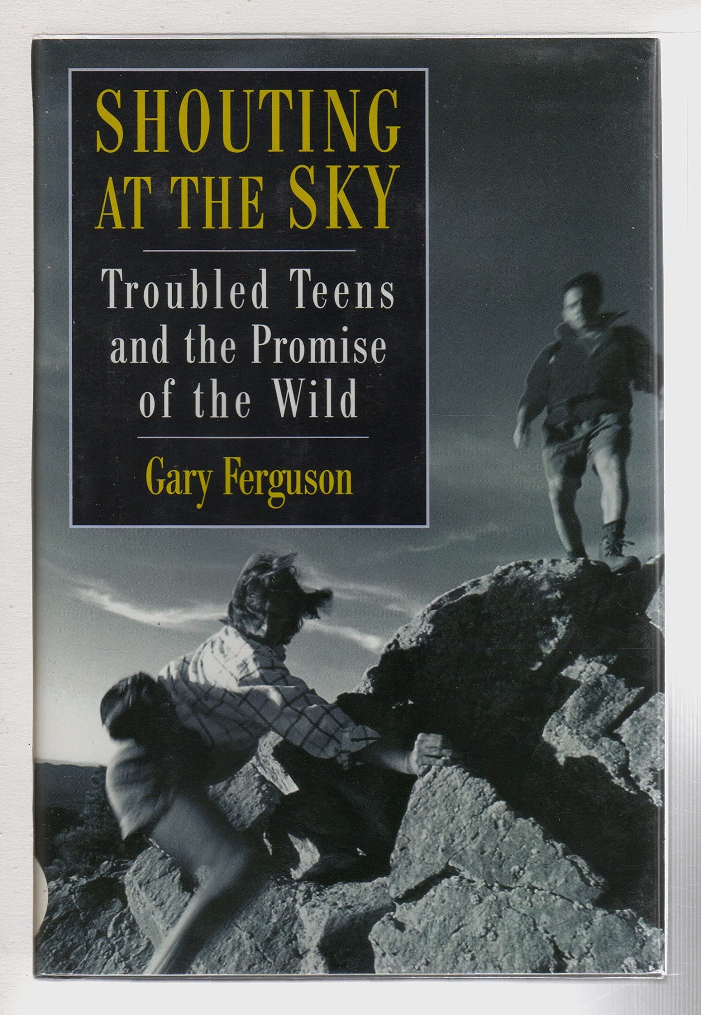 Shouting at the Sky: Troubled Teens and the Promise of the Wild book cover