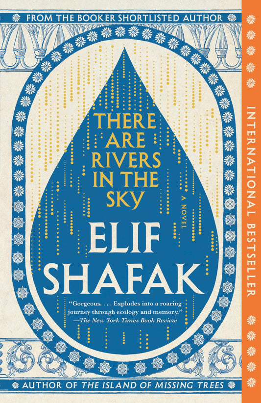 There Are Rivers in the Sky book cover