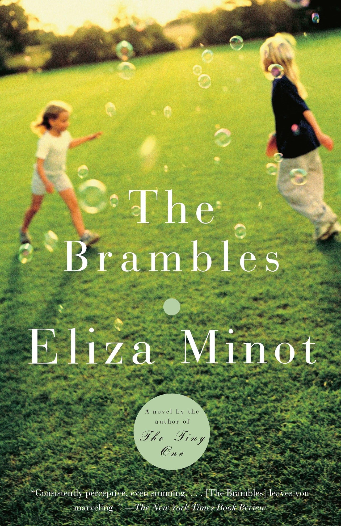 Brambles book cover